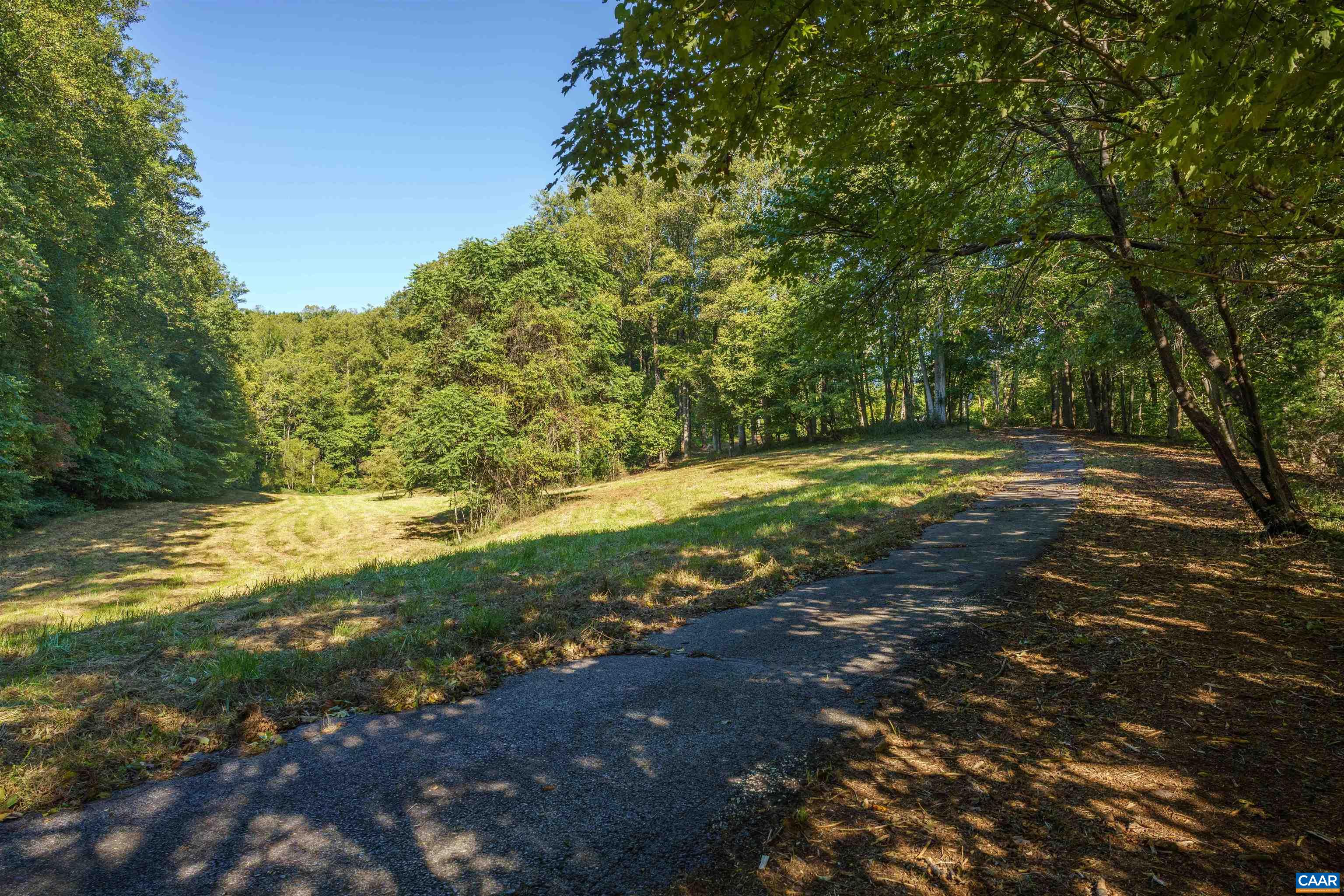 14627 PATRICK HENRY HWY, ROSELAND, Virginia 22967, ,Land,14627 PATRICK HENRY HWY,682440 MLS # 682440 14627 PATRICK HENRY HWY, ROSELAND, Virginia 22967, ,Land,14627 PATRICK HENRY HWY,682440 MLS # 682440