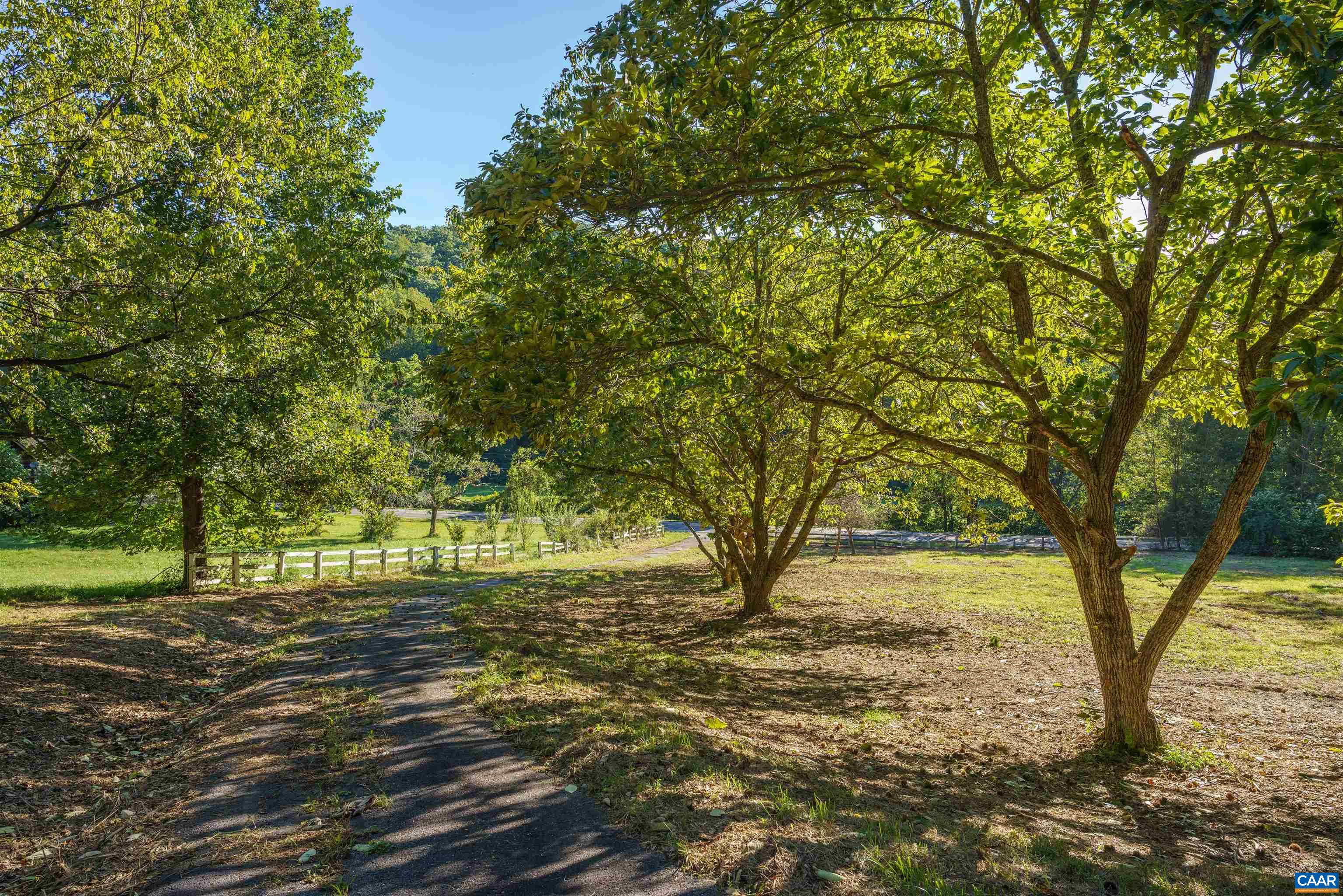 14627 PATRICK HENRY HWY, ROSELAND, Virginia 22967, ,Land,14627 PATRICK HENRY HWY,682440 MLS # 682440 14627 PATRICK HENRY HWY, ROSELAND, Virginia 22967, ,Land,14627 PATRICK HENRY HWY,682440 MLS # 682440