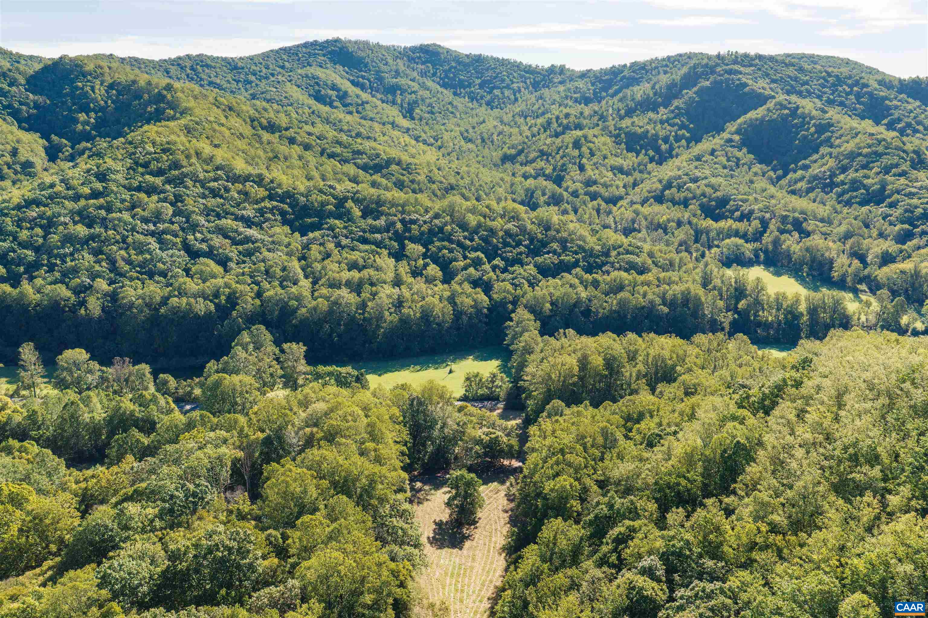 14627 PATRICK HENRY HWY, ROSELAND, Virginia 22967, ,Land,14627 PATRICK HENRY HWY,682440 MLS # 682440 14627 PATRICK HENRY HWY, ROSELAND, Virginia 22967, ,Land,14627 PATRICK HENRY HWY,682440 MLS # 682440
