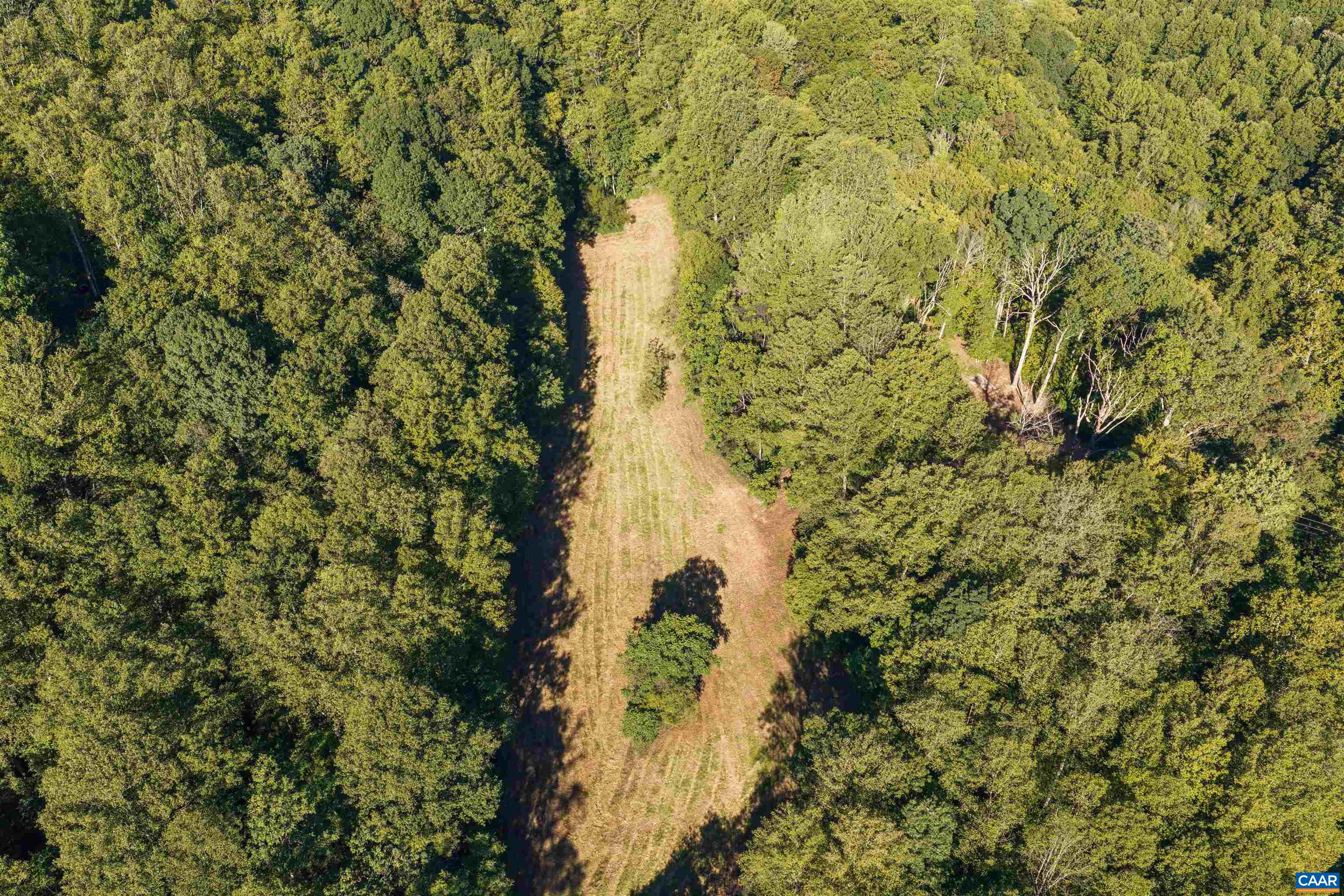 14627 PATRICK HENRY HWY, ROSELAND, Virginia 22967, ,Land,14627 PATRICK HENRY HWY,682440 MLS # 682440 14627 PATRICK HENRY HWY, ROSELAND, Virginia 22967, ,Land,14627 PATRICK HENRY HWY,682440 MLS # 682440