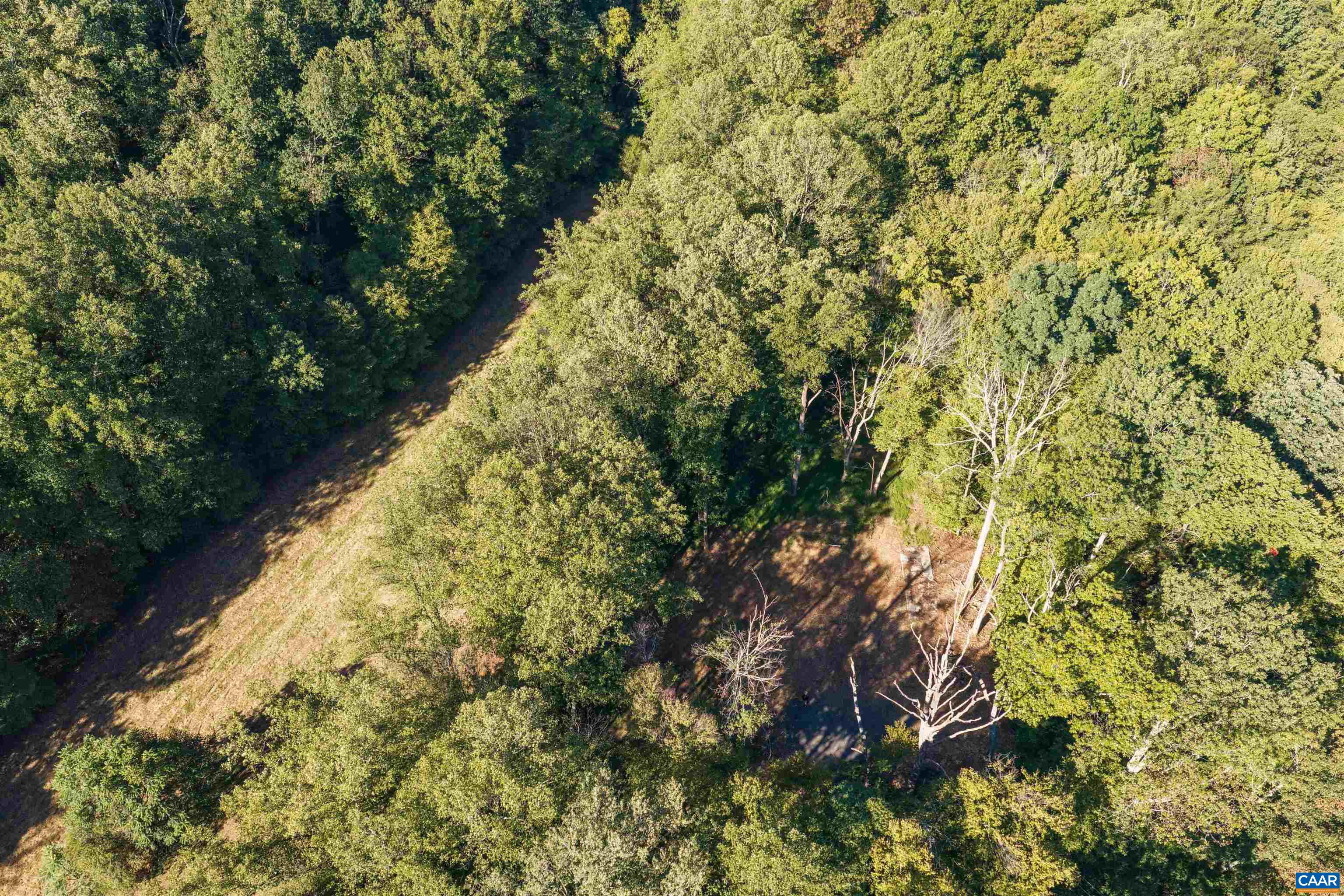 14627 PATRICK HENRY HWY, ROSELAND, Virginia 22967, ,Land,14627 PATRICK HENRY HWY,682440 MLS # 682440 14627 PATRICK HENRY HWY, ROSELAND, Virginia 22967, ,Land,14627 PATRICK HENRY HWY,682440 MLS # 682440