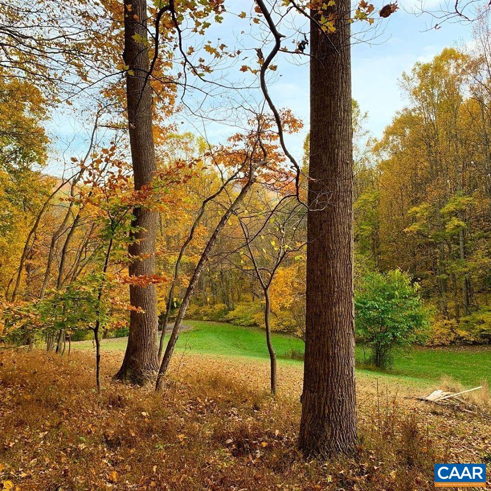 14627 PATRICK HENRY HWY, ROSELAND, Virginia 22967, ,Land,14627 PATRICK HENRY HWY,682440 MLS # 682440 14627 PATRICK HENRY HWY, ROSELAND, Virginia 22967, ,Land,14627 PATRICK HENRY HWY,682440 MLS # 682440