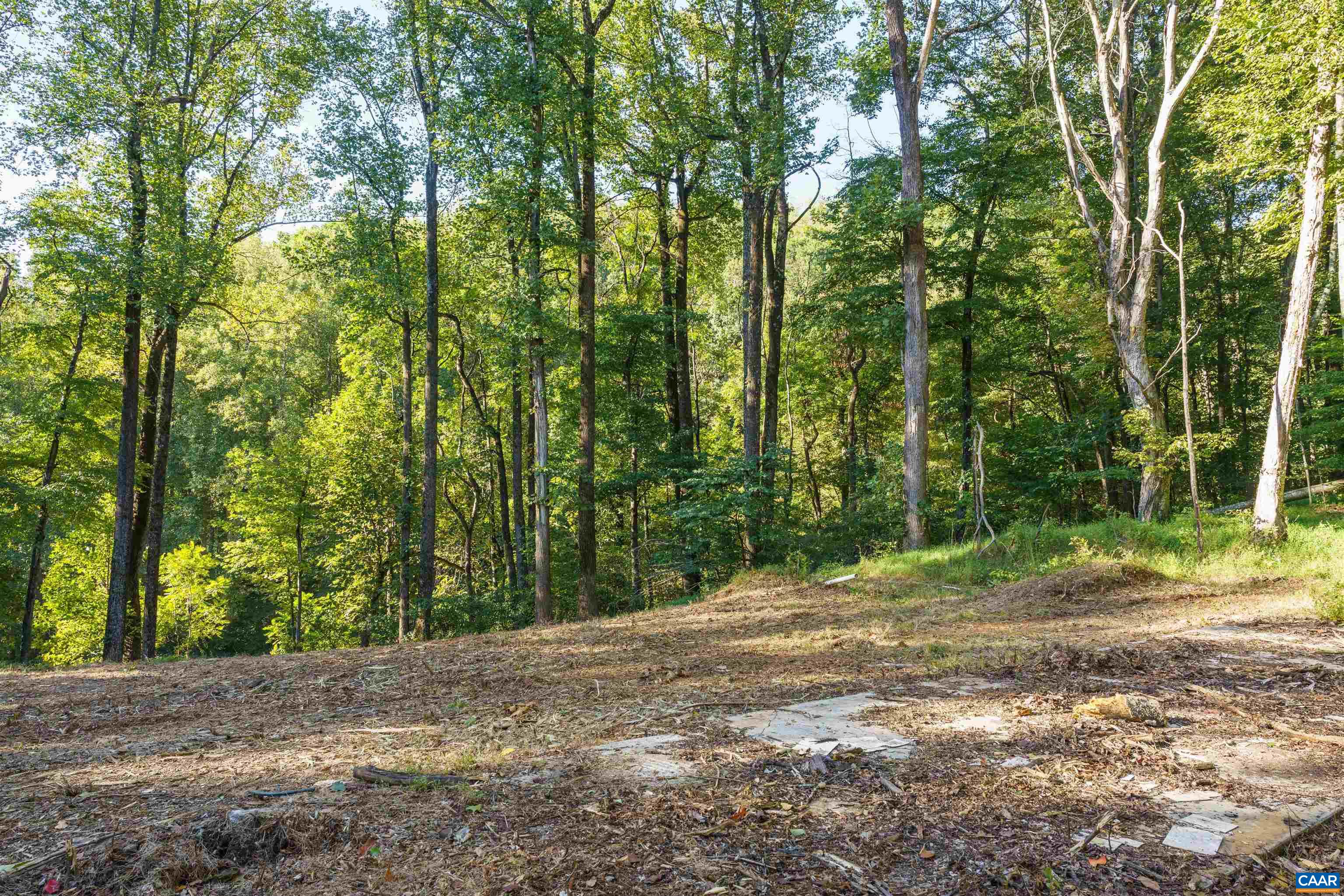 14627 PATRICK HENRY HWY, ROSELAND, Virginia 22967, ,Land,14627 PATRICK HENRY HWY,682440 MLS # 682440 14627 PATRICK HENRY HWY, ROSELAND, Virginia 22967, ,Land,14627 PATRICK HENRY HWY,682440 MLS # 682440