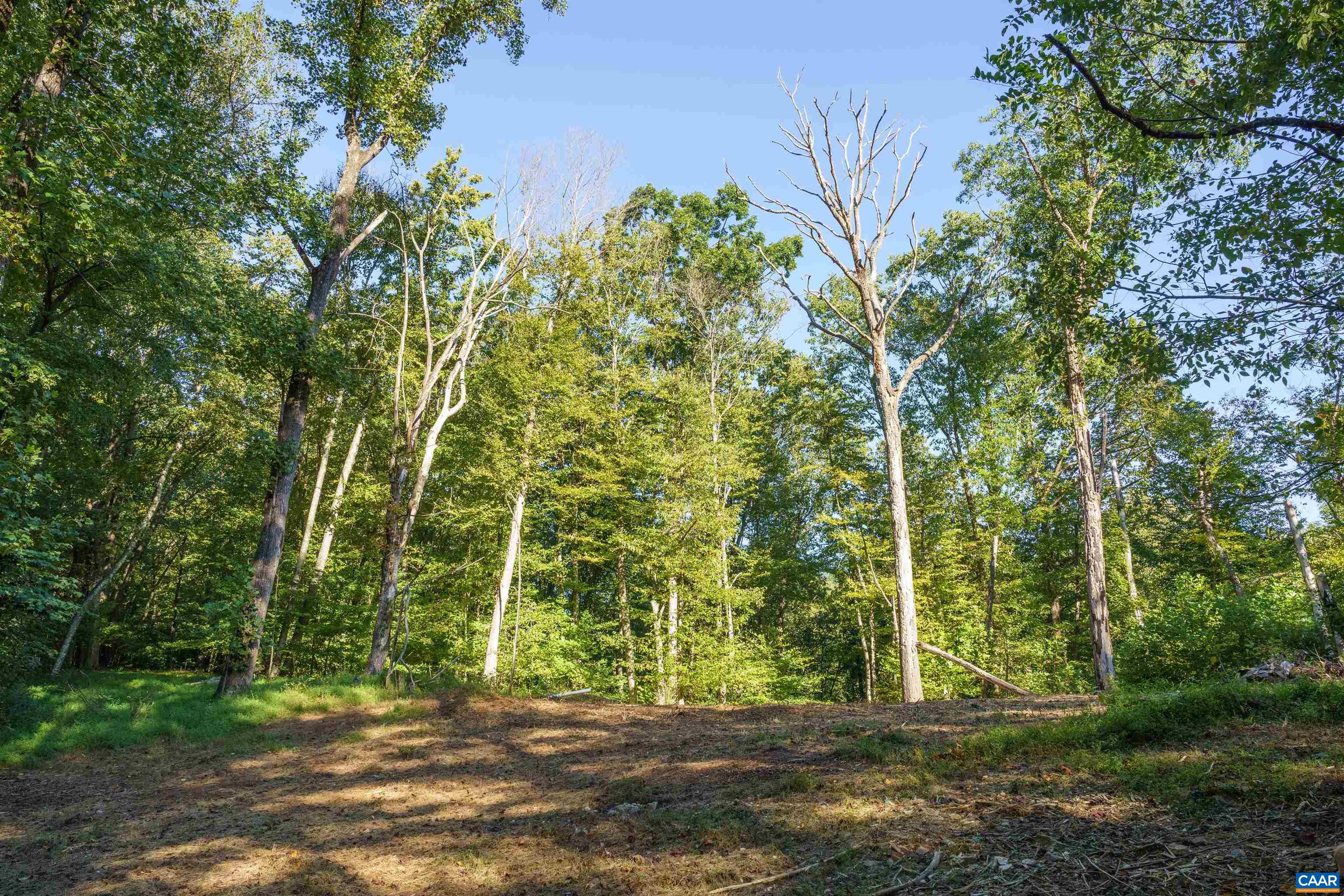 14627 PATRICK HENRY HWY, ROSELAND, Virginia 22967, ,Land,14627 PATRICK HENRY HWY,682440 MLS # 682440 14627 PATRICK HENRY HWY, ROSELAND, Virginia 22967, ,Land,14627 PATRICK HENRY HWY,682440 MLS # 682440