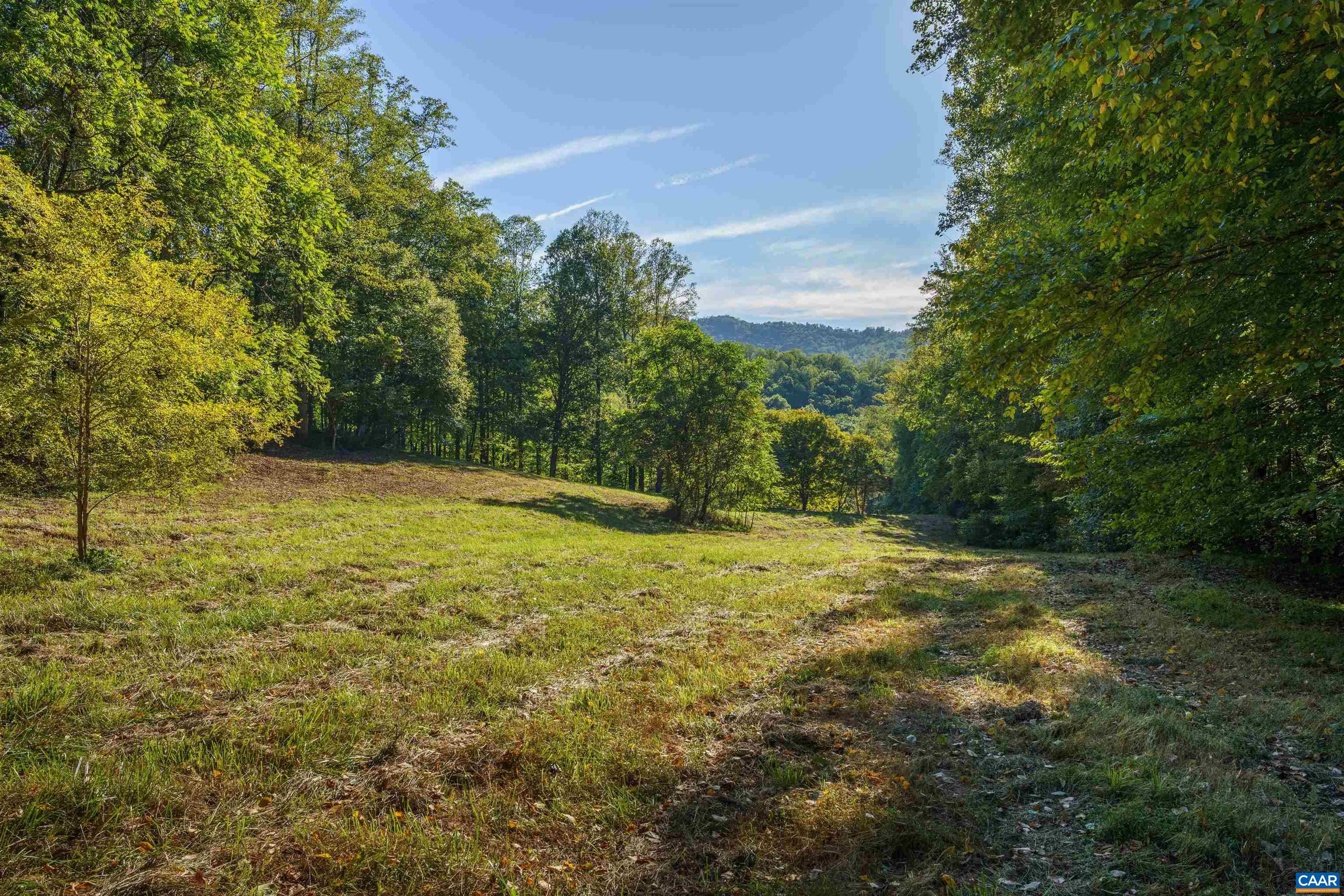 14627 PATRICK HENRY HWY, ROSELAND, Virginia 22967, ,Land,14627 PATRICK HENRY HWY,682440 MLS # 682440 14627 PATRICK HENRY HWY, ROSELAND, Virginia 22967, ,Land,14627 PATRICK HENRY HWY,682440 MLS # 682440