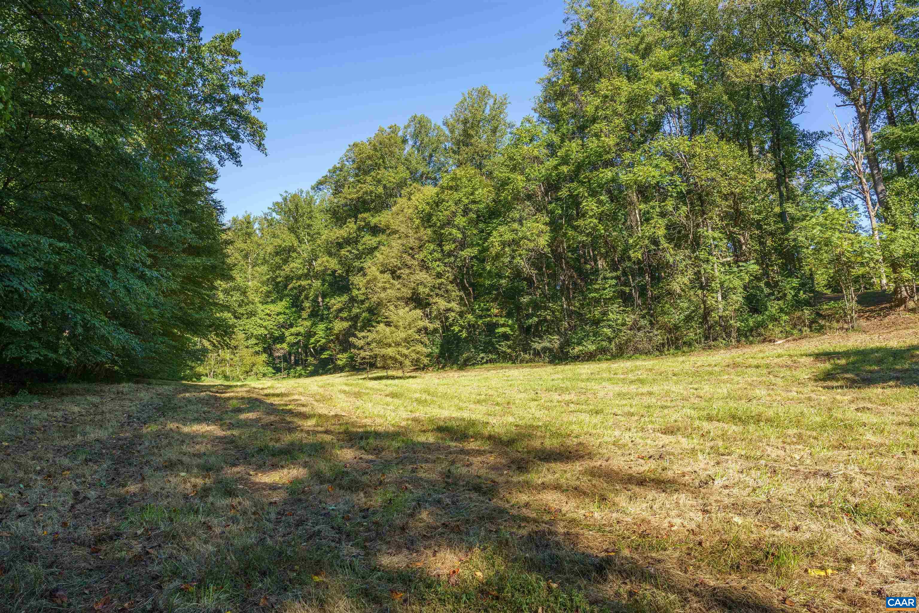 14627 PATRICK HENRY HWY, ROSELAND, Virginia 22967, ,Land,14627 PATRICK HENRY HWY,682440 MLS # 682440 14627 PATRICK HENRY HWY, ROSELAND, Virginia 22967, ,Land,14627 PATRICK HENRY HWY,682440 MLS # 682440