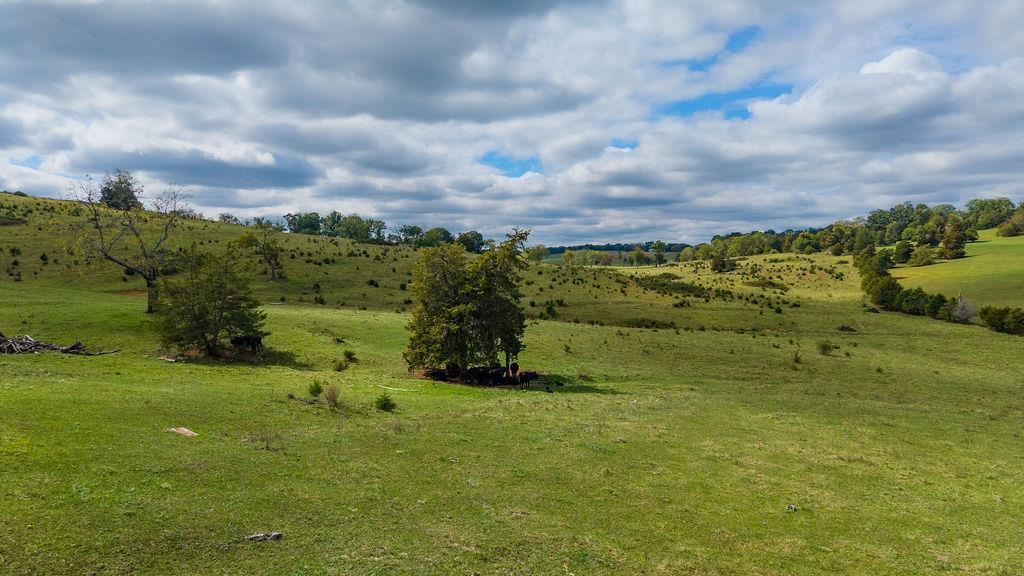 3346 SPRING HILL RD, STAUNTON, Virginia 24401, ,Farm,3346 SPRING HILL RD,682456 MLS # 682456 3346 SPRING HILL RD, STAUNTON, Virginia 24401, ,Farm,3346 SPRING HILL RD,682456 MLS # 682456
