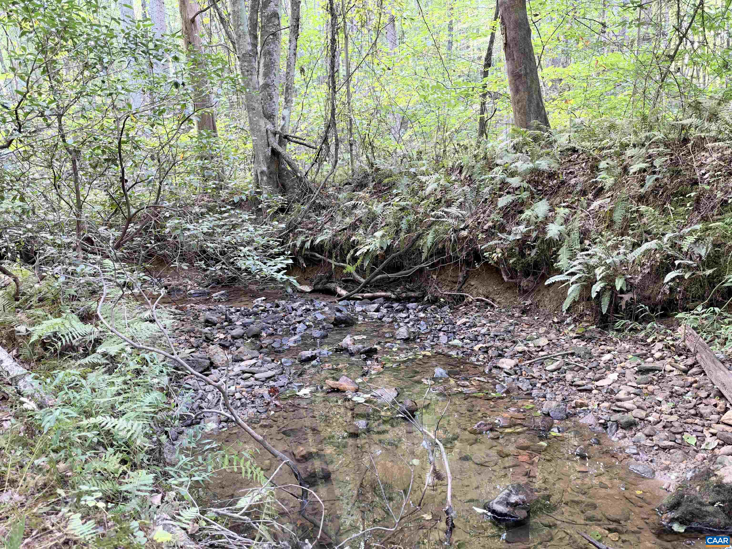 33 PINEY MOUNTAIN LN, SHIPMAN, Virginia 22971, ,Land,33 PINEY MOUNTAIN LN,682496 MLS # 682496