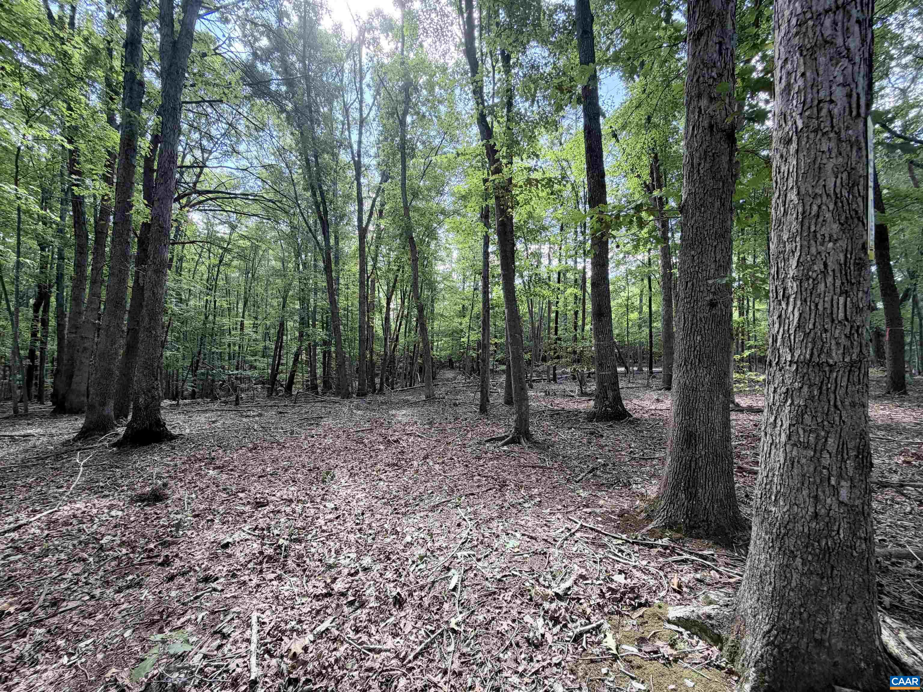 33 PINEY MOUNTAIN LN, SHIPMAN, Virginia 22971, ,Land,33 PINEY MOUNTAIN LN,682496 MLS # 682496