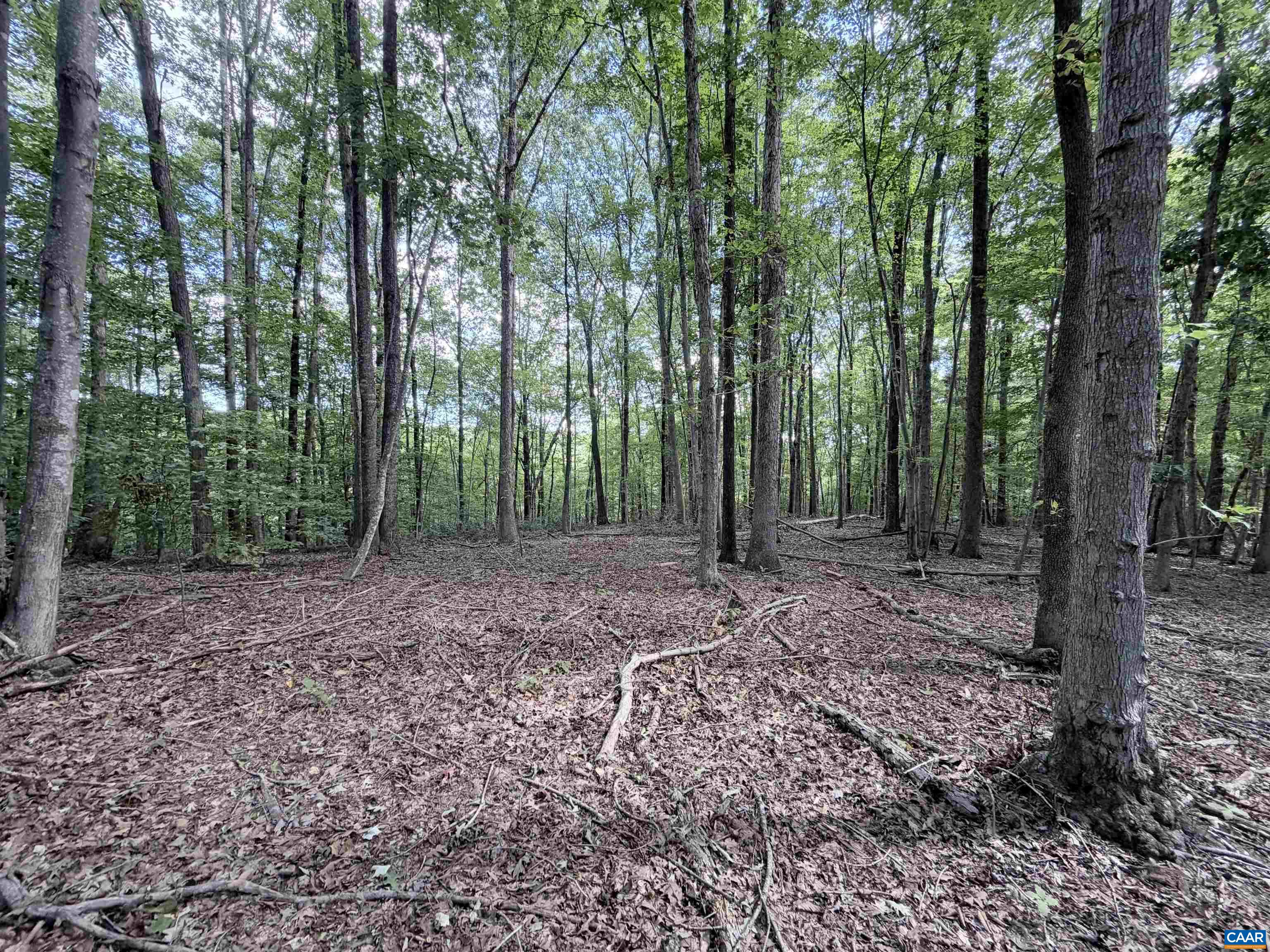 33 PINEY MOUNTAIN LN, SHIPMAN, Virginia 22971, ,Land,33 PINEY MOUNTAIN LN,682496 MLS # 682496