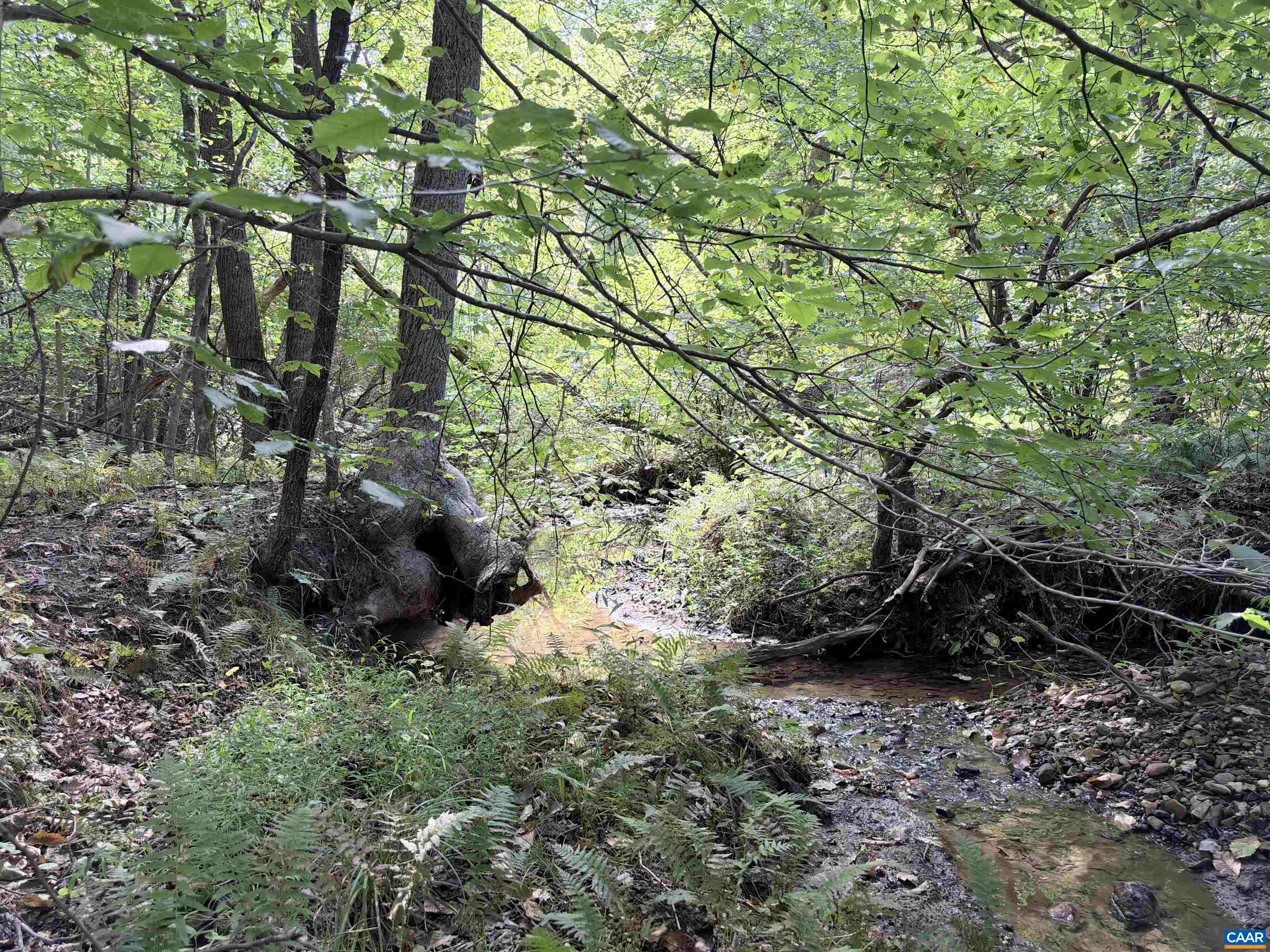 33 PINEY MOUNTAIN LN, SHIPMAN, Virginia 22971, ,Land,33 PINEY MOUNTAIN LN,682496 MLS # 682496
