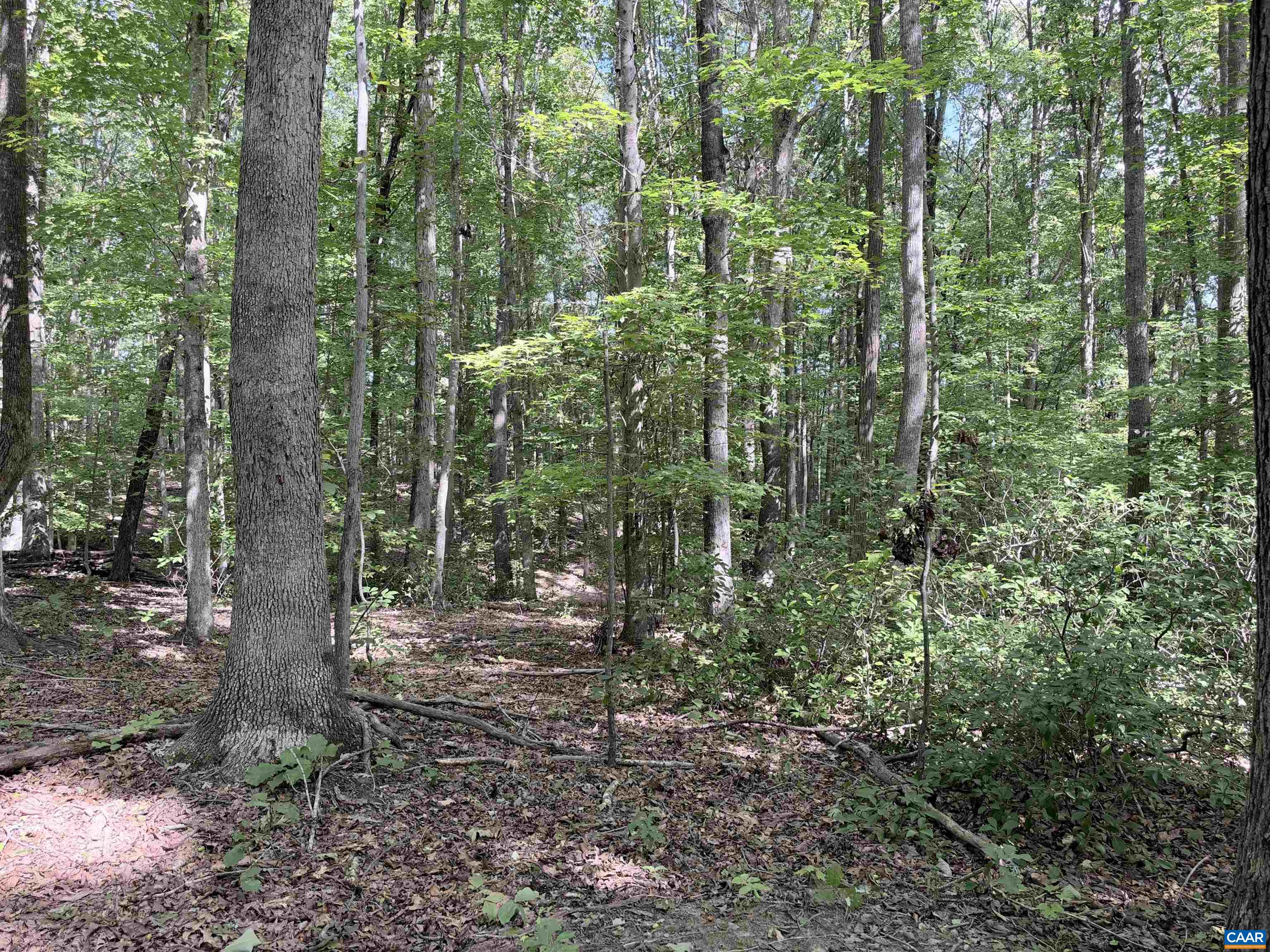 33 PINEY MOUNTAIN LN, SHIPMAN, Virginia 22971, ,Land,33 PINEY MOUNTAIN LN,682496 MLS # 682496
