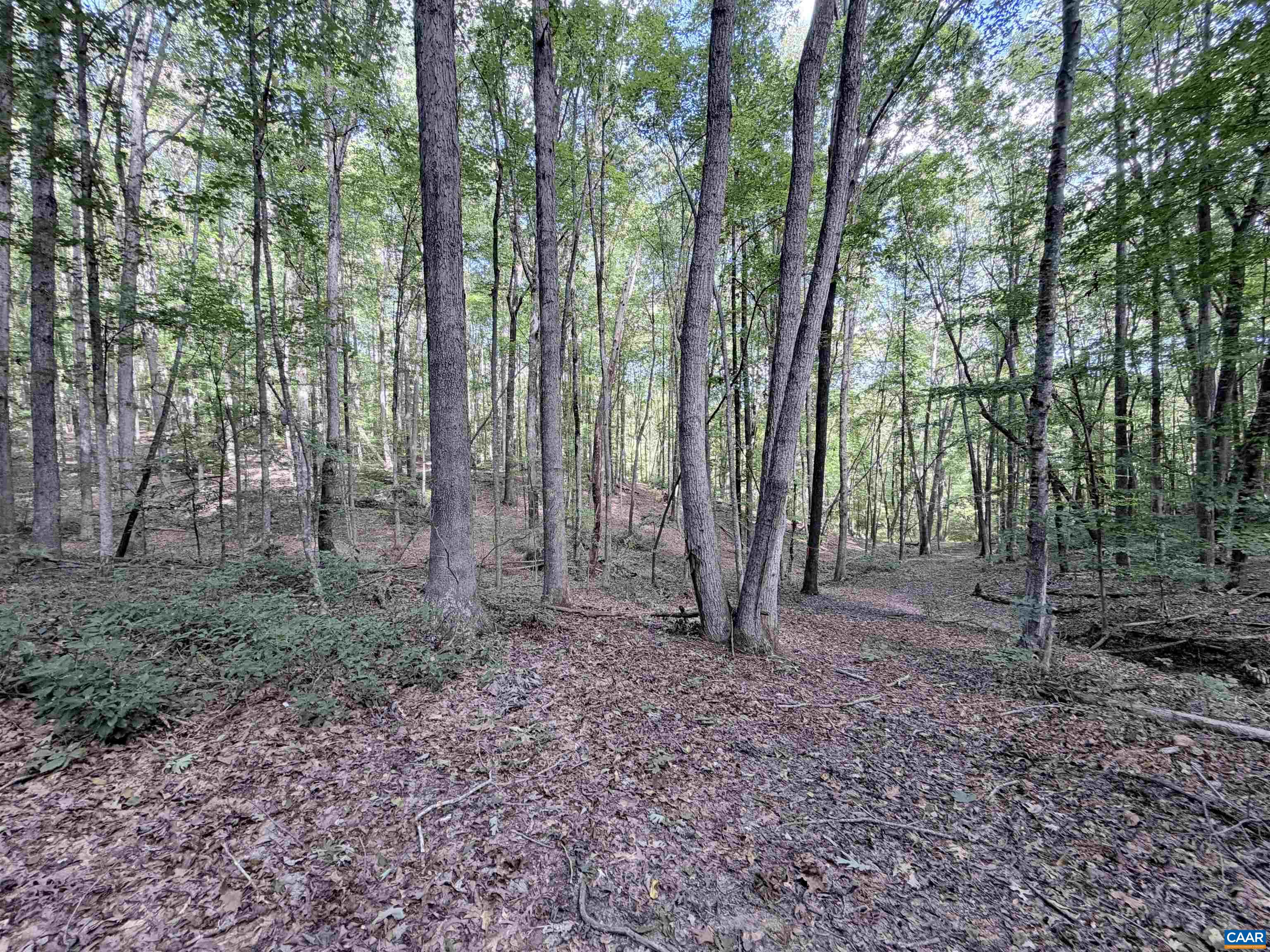 33 PINEY MOUNTAIN LN, SHIPMAN, Virginia 22971, ,Land,33 PINEY MOUNTAIN LN,682496 MLS # 682496