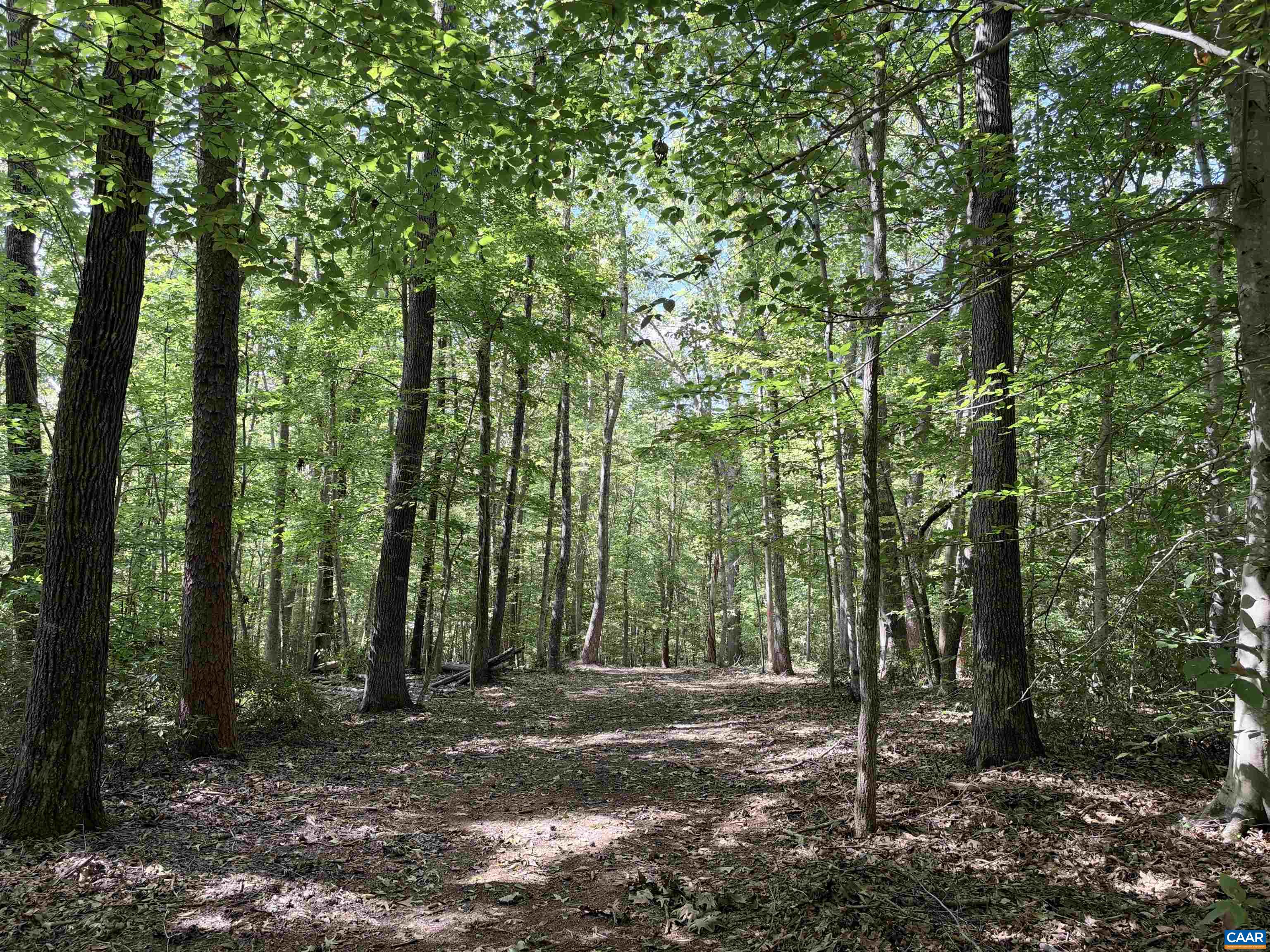 33 PINEY MOUNTAIN LN, SHIPMAN, Virginia 22971, ,Land,33 PINEY MOUNTAIN LN,682496 MLS # 682496