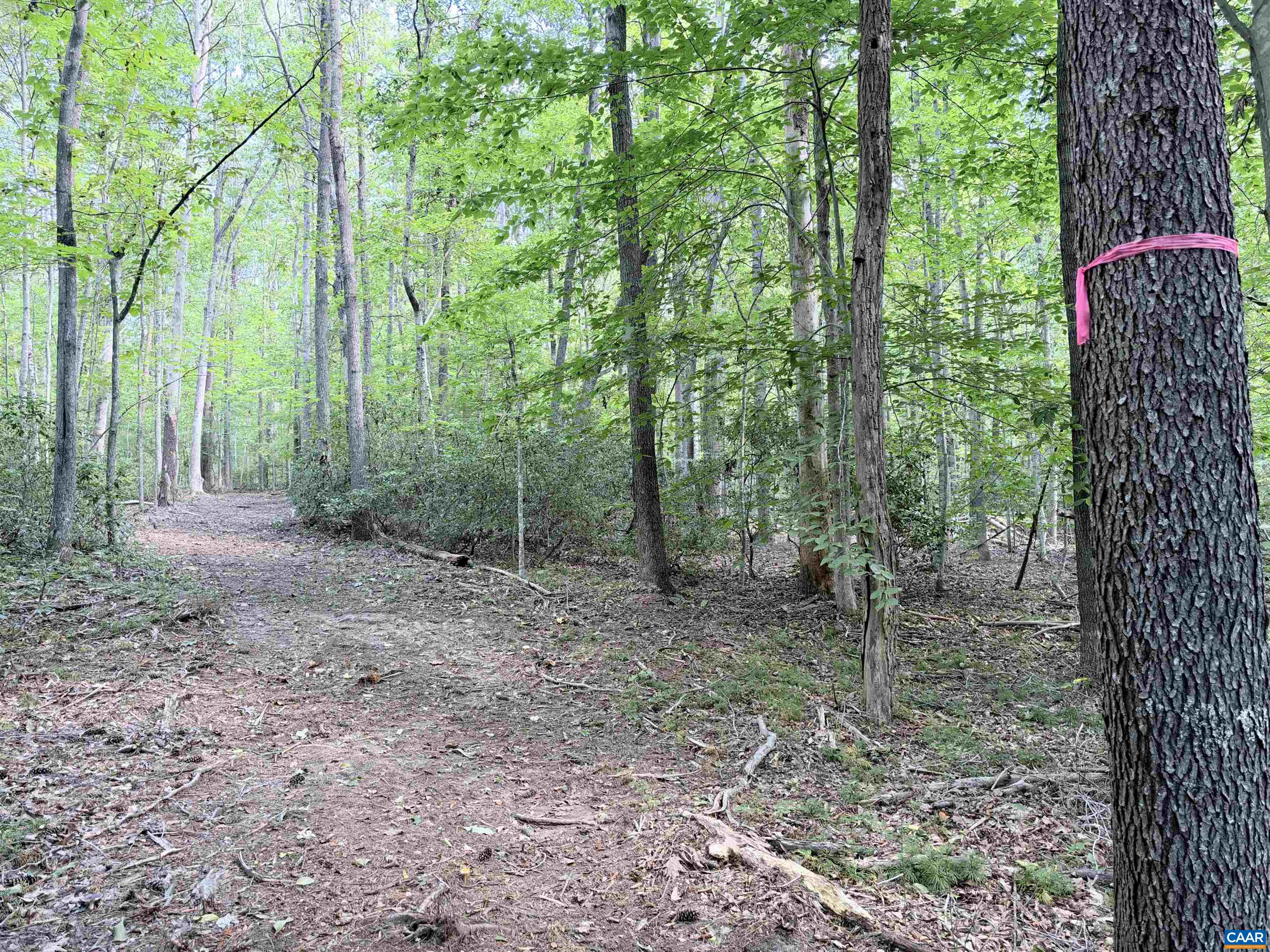 33 PINEY MOUNTAIN LN, SHIPMAN, Virginia 22971, ,Land,33 PINEY MOUNTAIN LN,682496 MLS # 682496