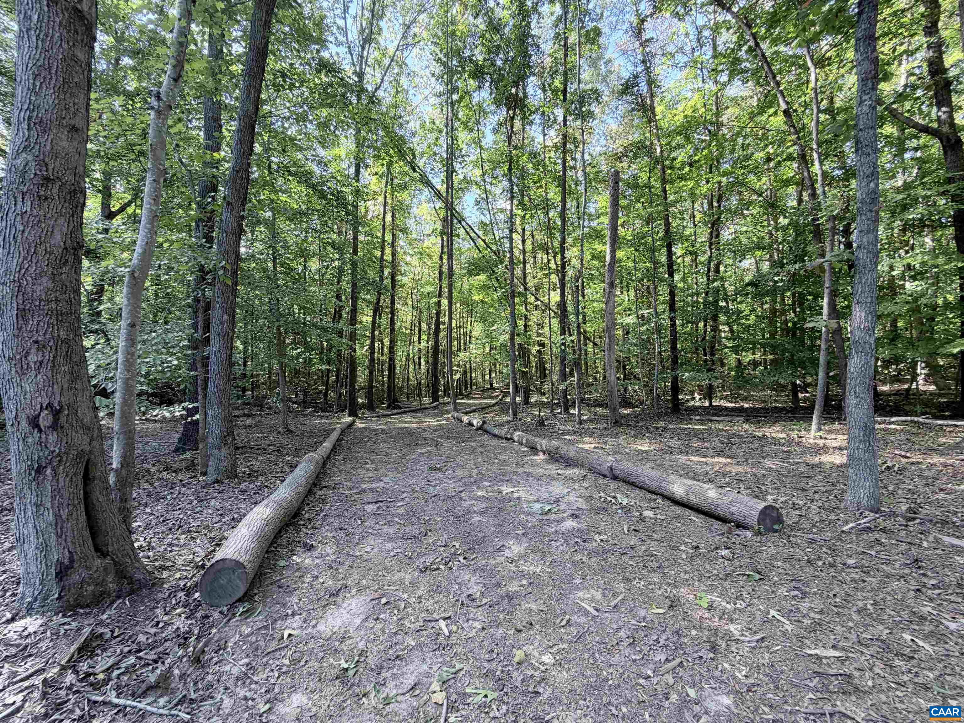 33 PINEY MOUNTAIN LN, SHIPMAN, Virginia 22971, ,Land,33 PINEY MOUNTAIN LN,682496 MLS # 682496