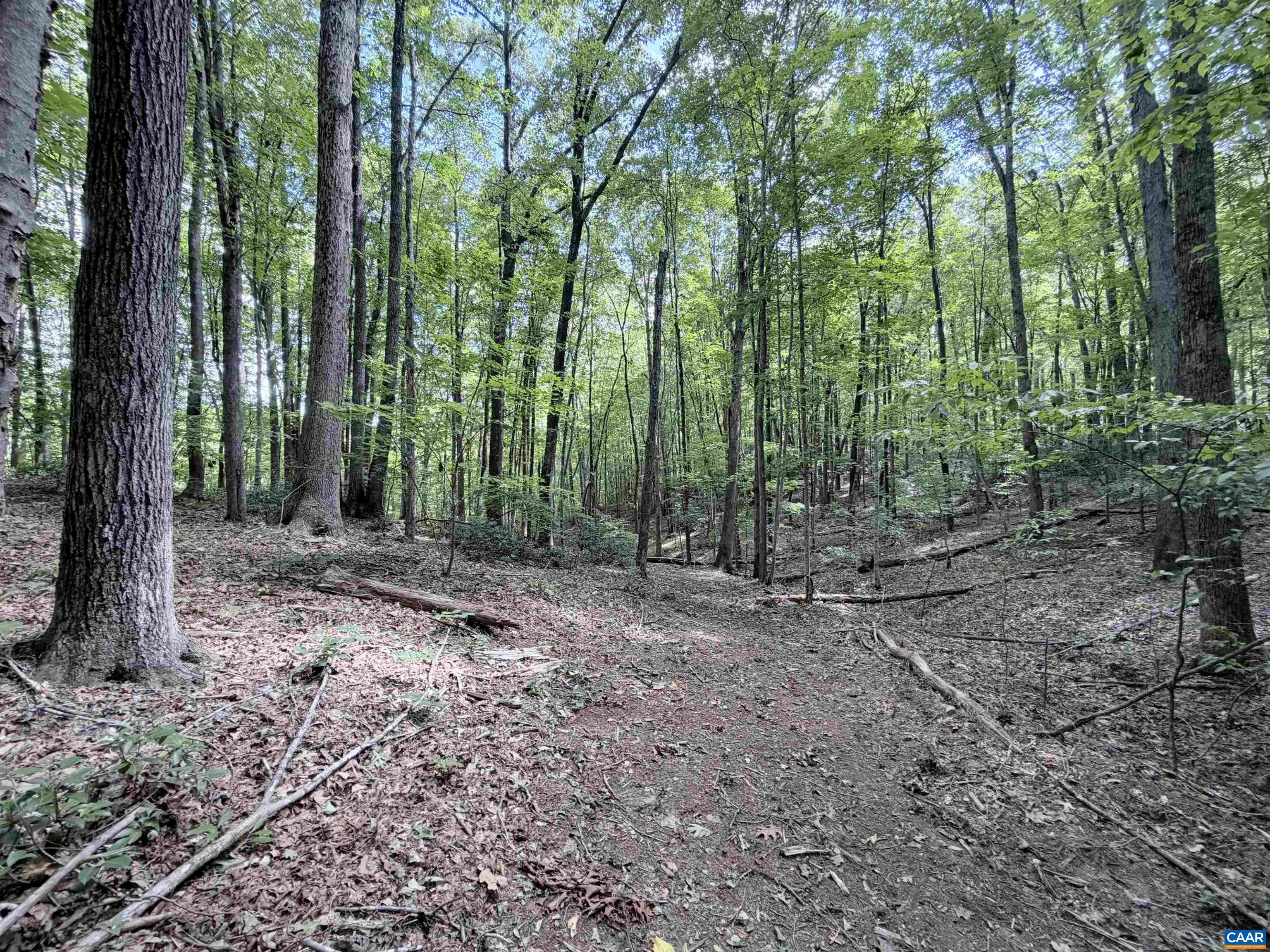 33 PINEY MOUNTAIN LN, SHIPMAN, Virginia 22971, ,Land,33 PINEY MOUNTAIN LN,682496 MLS # 682496