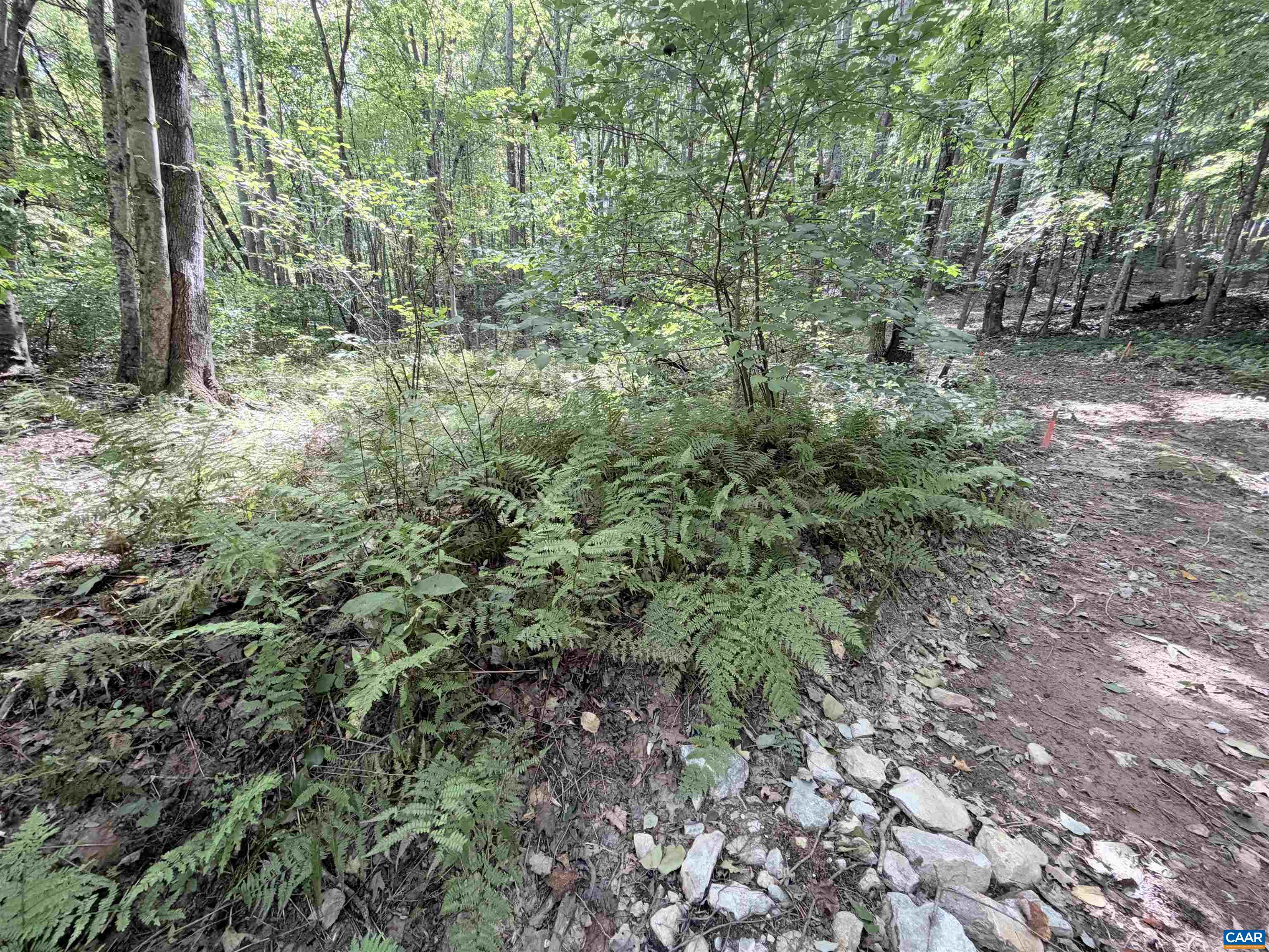 33 PINEY MOUNTAIN LN, SHIPMAN, Virginia 22971, ,Land,33 PINEY MOUNTAIN LN,682496 MLS # 682496
