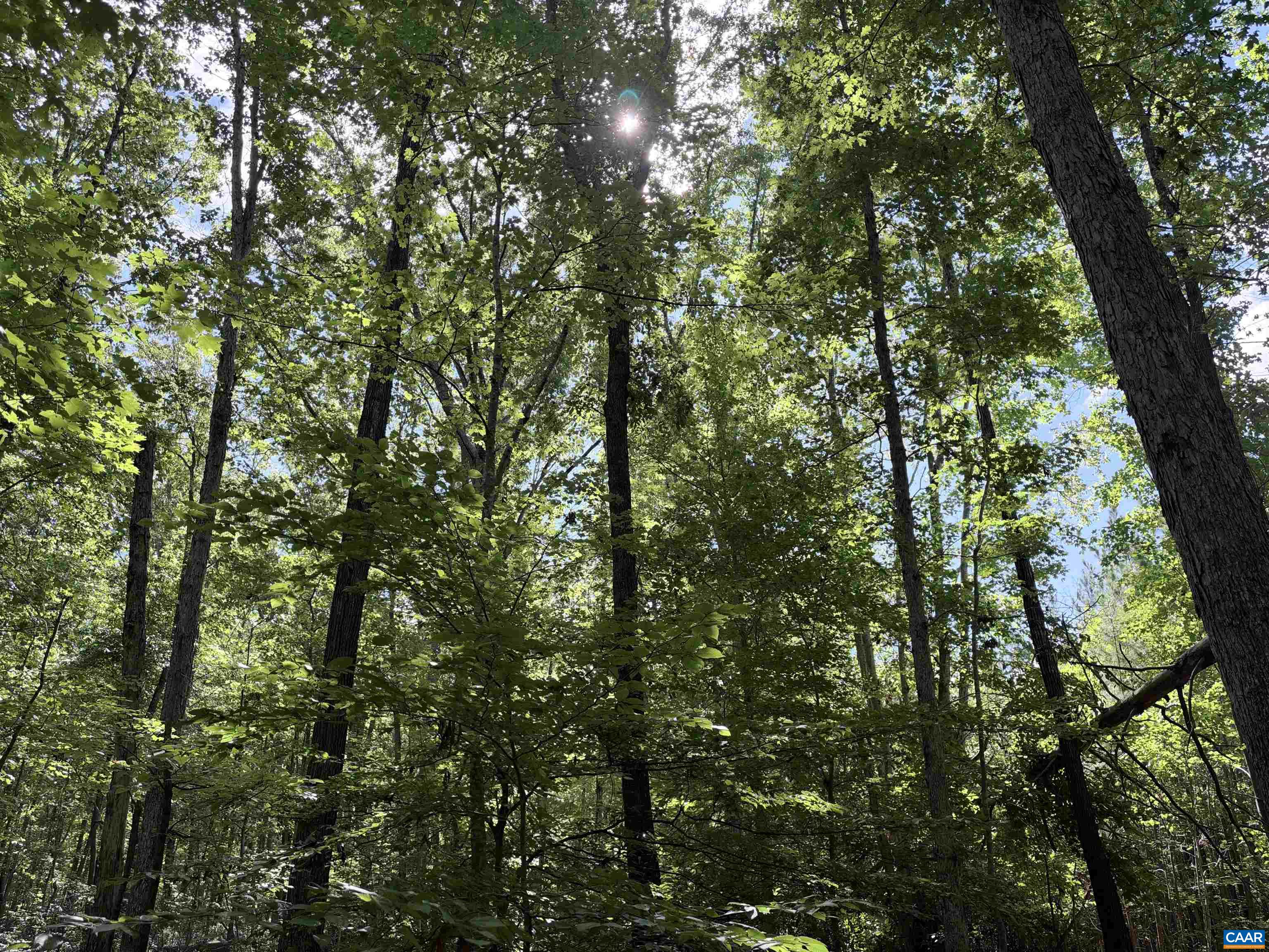 33 PINEY MOUNTAIN LN, SHIPMAN, Virginia 22971, ,Land,33 PINEY MOUNTAIN LN,682496 MLS # 682496