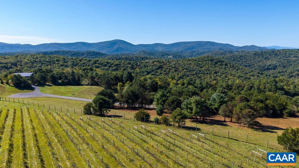 The neighboring vineyard and tasting room, Virginia's highest, next door to the Reserve. The neighboring vineyard and tasting room, Virginia's highest, next door to the Reserve.