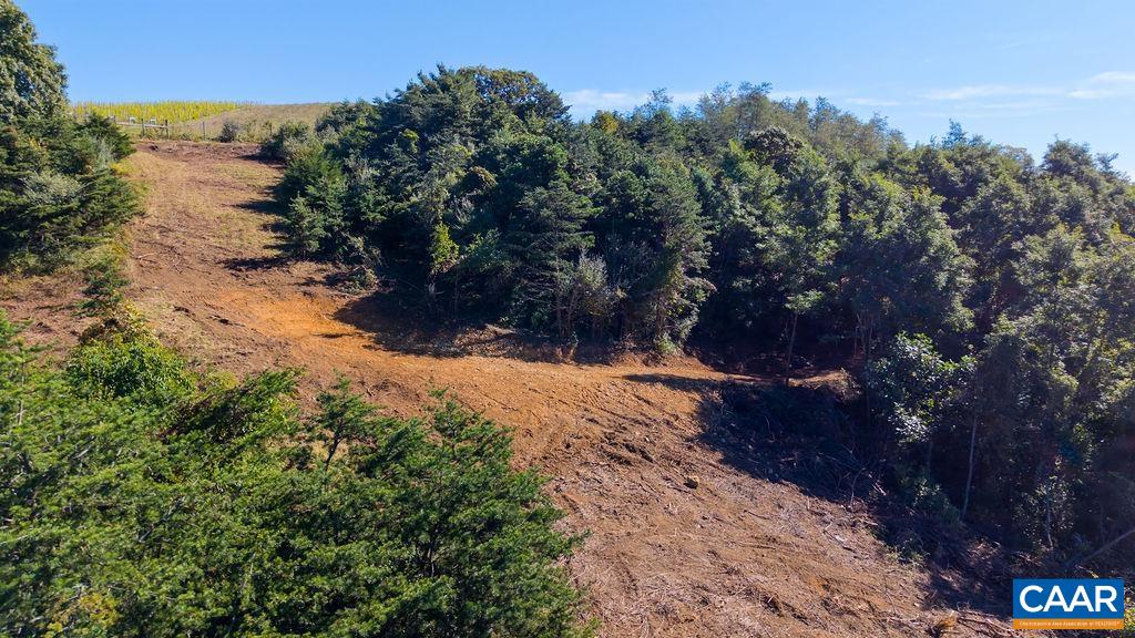 Selectively cleared; house site and septic area are flagged on the ground. Selectively cleared; house site and septic area are flagged on the ground.