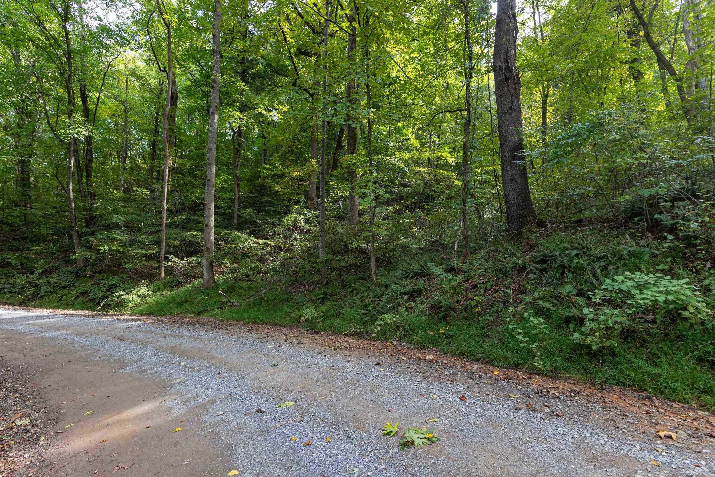 Lot 18A FRIENDLY LN, STANLEY, Virginia 22851, ,Land,Lot 18A FRIENDLY LN,682569 MLS # 682569 Lot 18A FRIENDLY LN, STANLEY, Virginia 22851, ,Land,Lot 18A FRIENDLY LN,682569 MLS # 682569
