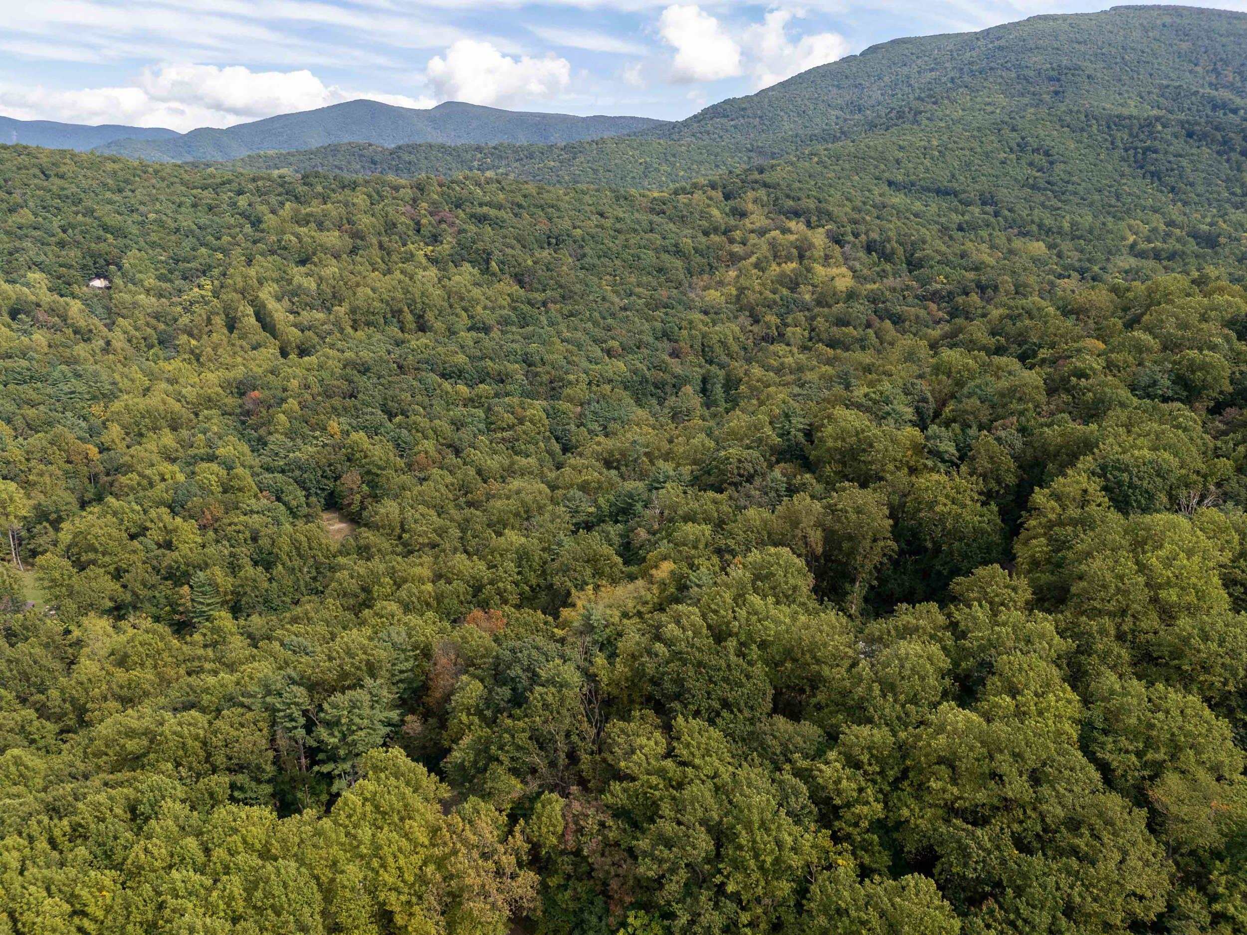 Lot 18A FRIENDLY LN, STANLEY, Virginia 22851, ,Land,Lot 18A FRIENDLY LN,682569 MLS # 682569 Lot 18A FRIENDLY LN, STANLEY, Virginia 22851, ,Land,Lot 18A FRIENDLY LN,682569 MLS # 682569