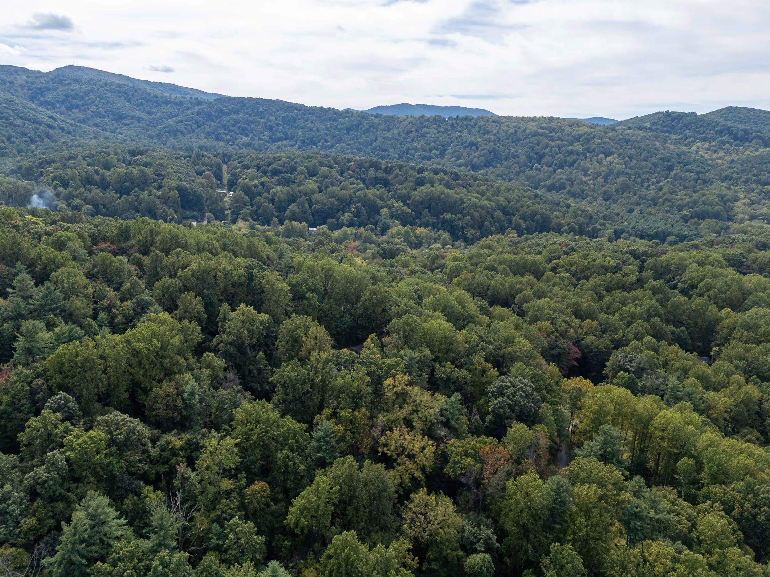Lot 18A FRIENDLY LN, STANLEY, Virginia 22851, ,Land,Lot 18A FRIENDLY LN,682569 MLS # 682569 Lot 18A FRIENDLY LN, STANLEY, Virginia 22851, ,Land,Lot 18A FRIENDLY LN,682569 MLS # 682569