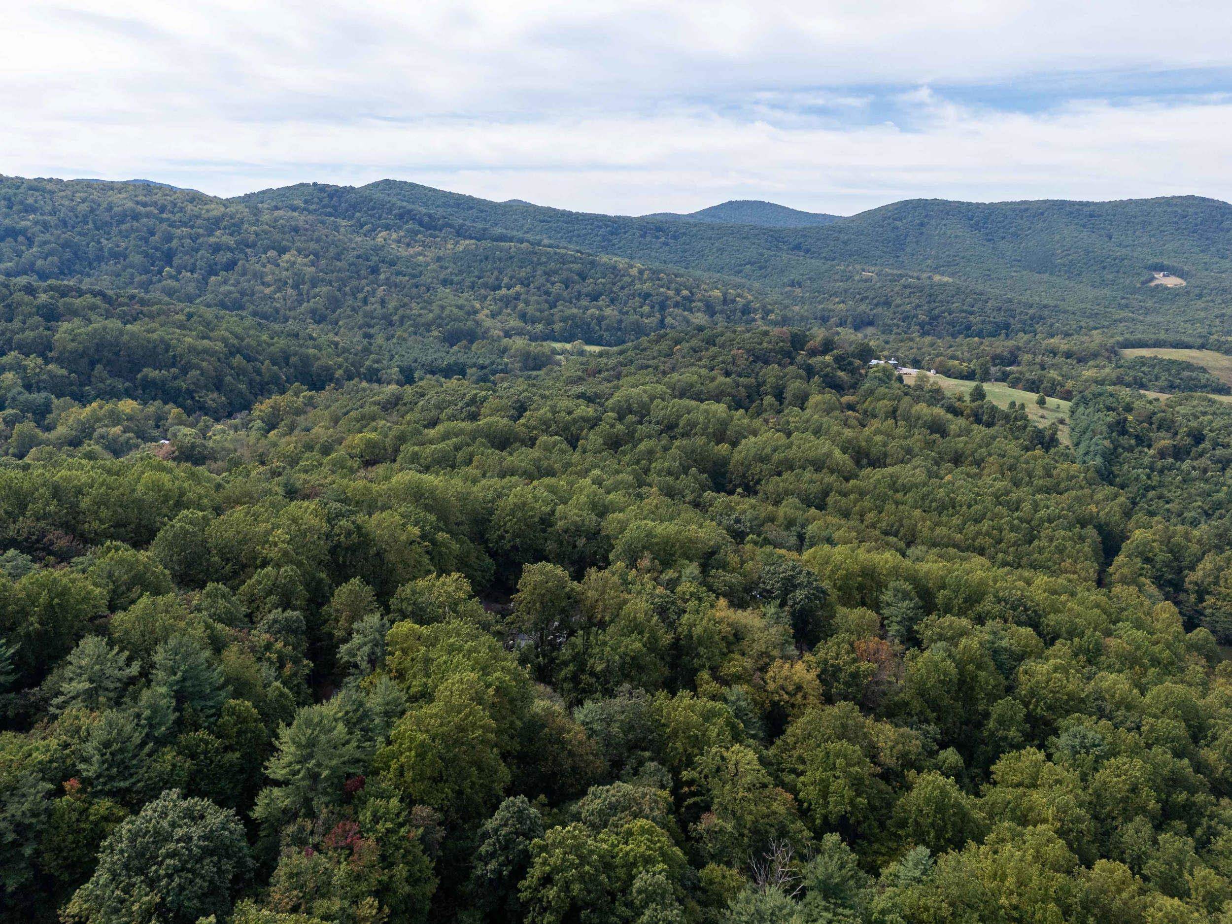 Lot 18A FRIENDLY LN, STANLEY, Virginia 22851, ,Land,Lot 18A FRIENDLY LN,682569 MLS # 682569 Lot 18A FRIENDLY LN, STANLEY, Virginia 22851, ,Land,Lot 18A FRIENDLY LN,682569 MLS # 682569