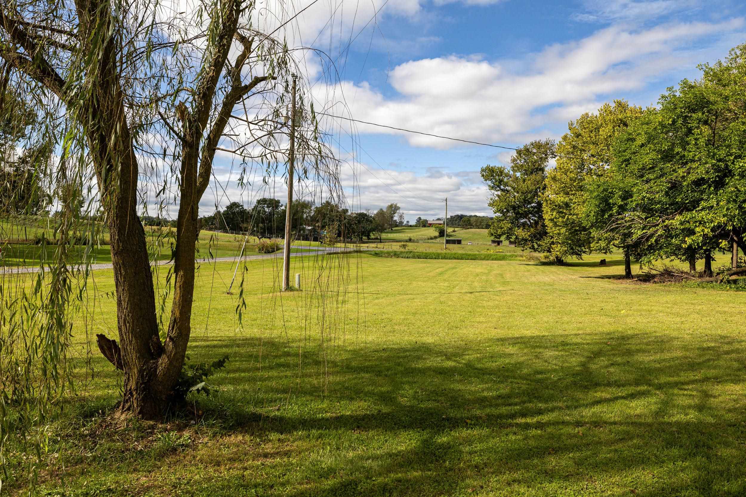 14381 BIRDVIEW LN, TIMBERVILLE, Virginia 22853, 4 Bedrooms Bedrooms, ,2 BathroomsBathrooms,Residential,14381 BIRDVIEW LN,682561 MLS # 682561 14381 BIRDVIEW LN, TIMBERVILLE, Virginia 22853, 4 Bedrooms Bedrooms, ,2 BathroomsBathrooms,Residential,14381 BIRDVIEW LN,682561 MLS # 682561