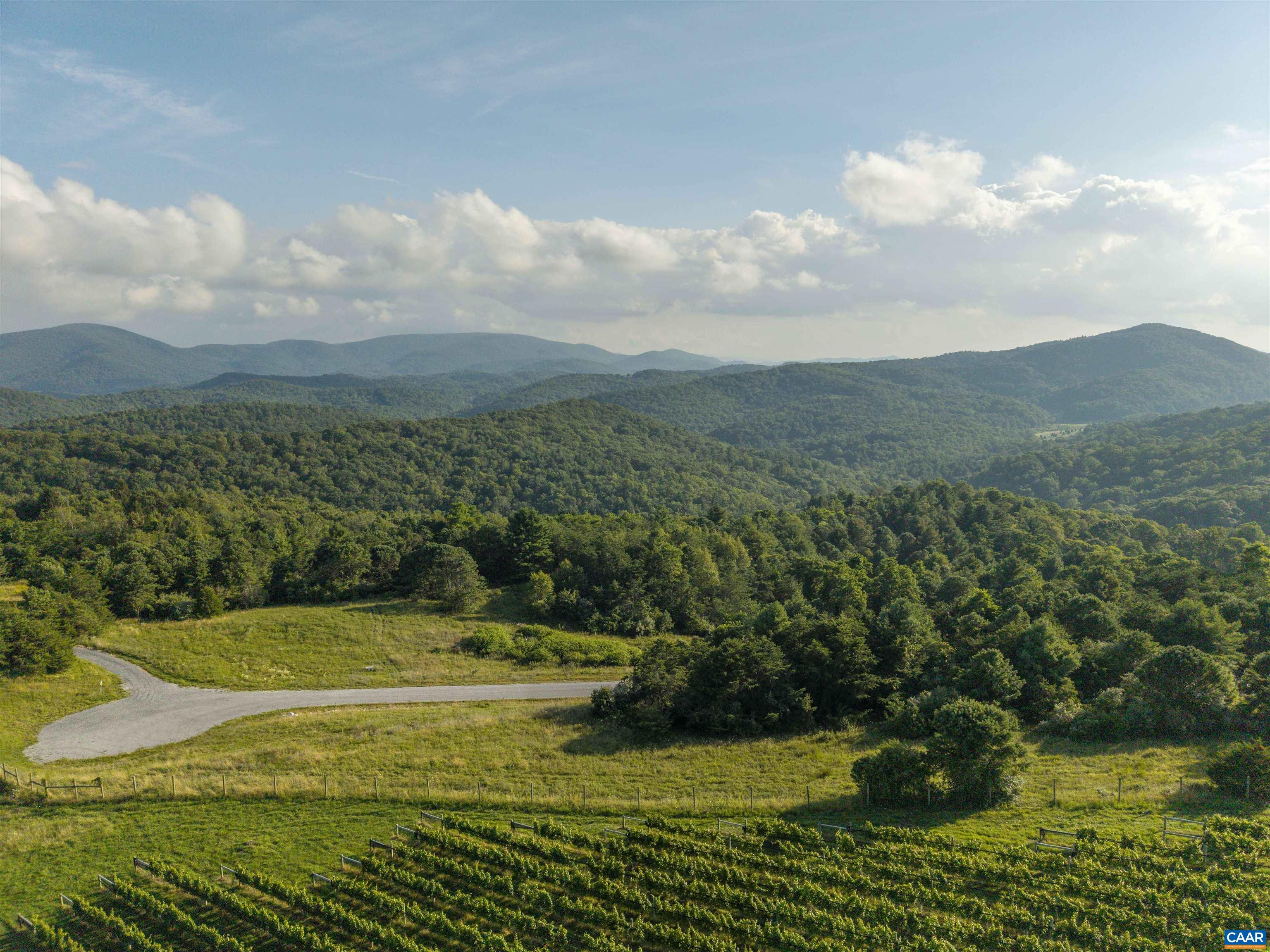12 Ridges Vineyard with the Blue Ridge behind. 12 Ridges Vineyard with the Blue Ridge behind.
