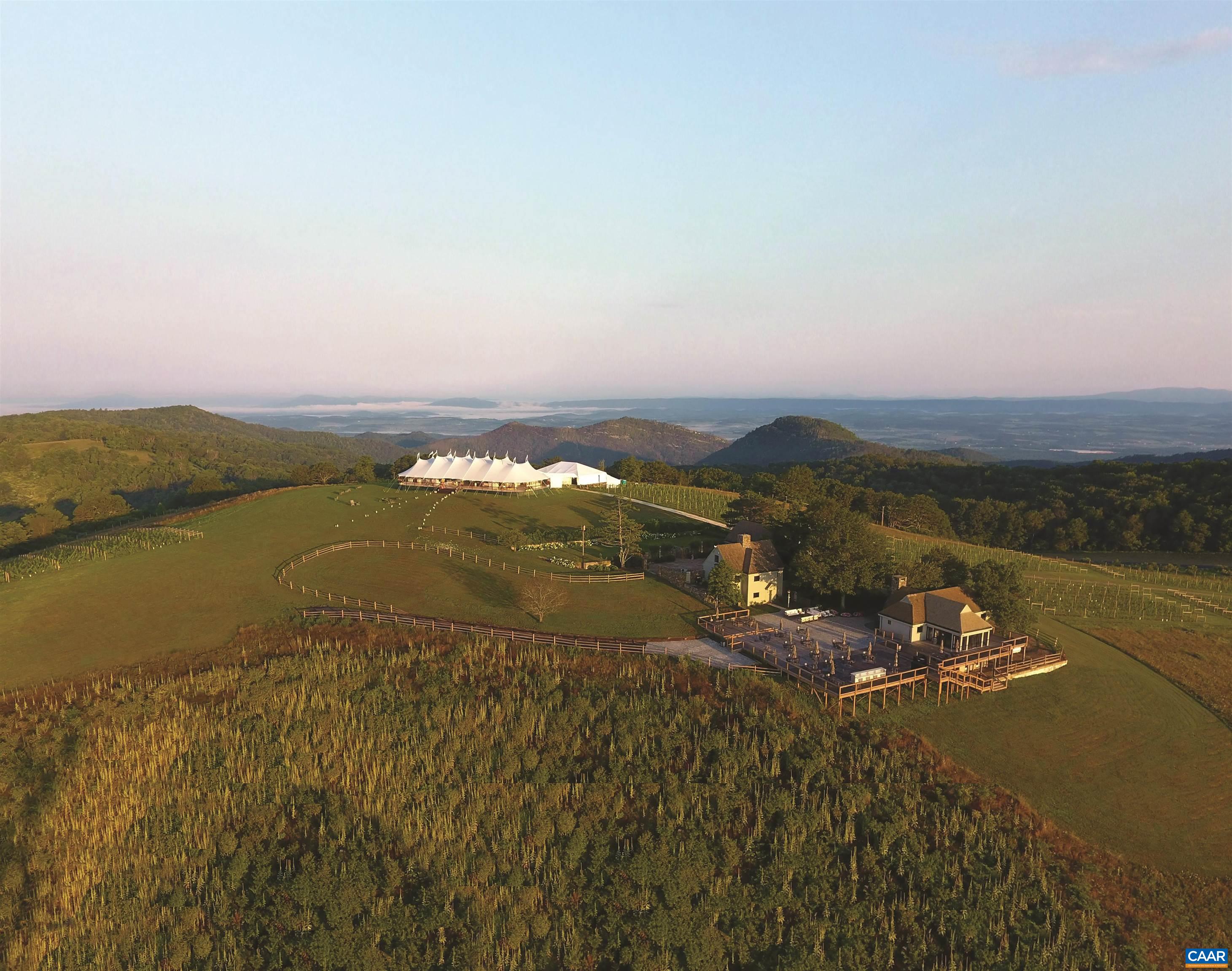 The neighboring vineyard and tasting room, Virginia's highest, next door to the Reserve. The neighboring vineyard and tasting room, Virginia's highest, next door to the Reserve.