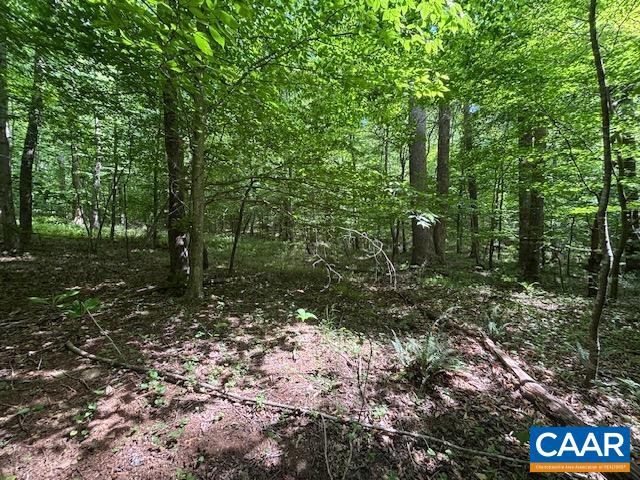 TM36-5b GARTH RUN RD, MADISON, Virginia 22727, ,Land,TM36-5b GARTH RUN RD,682579 MLS # 682579 TM36-5b GARTH RUN RD, MADISON, Virginia 22727, ,Land,TM36-5b GARTH RUN RD,682579 MLS # 682579