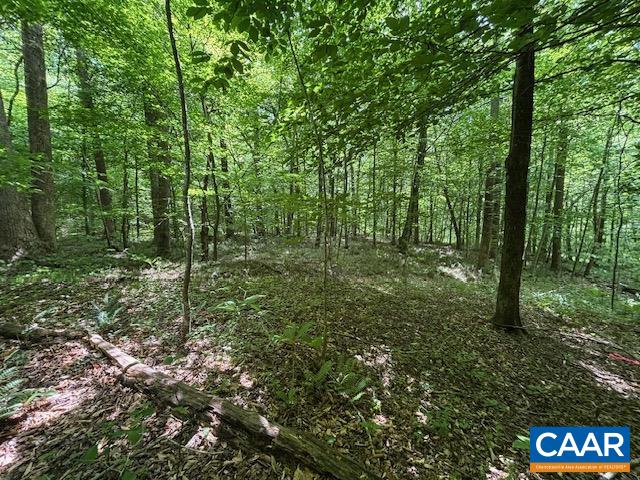 TM36-5b GARTH RUN RD, MADISON, Virginia 22727, ,Land,TM36-5b GARTH RUN RD,682579 MLS # 682579 TM36-5b GARTH RUN RD, MADISON, Virginia 22727, ,Land,TM36-5b GARTH RUN RD,682579 MLS # 682579