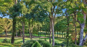 2064 STONE RIDGE CONDOS, WINTERGREEN RESORT, Virginia 22967, 1 Bedroom Bedrooms, ,1 BathroomBathrooms,Residential,2064 STONE RIDGE CONDOS,682570 MLS # 682570