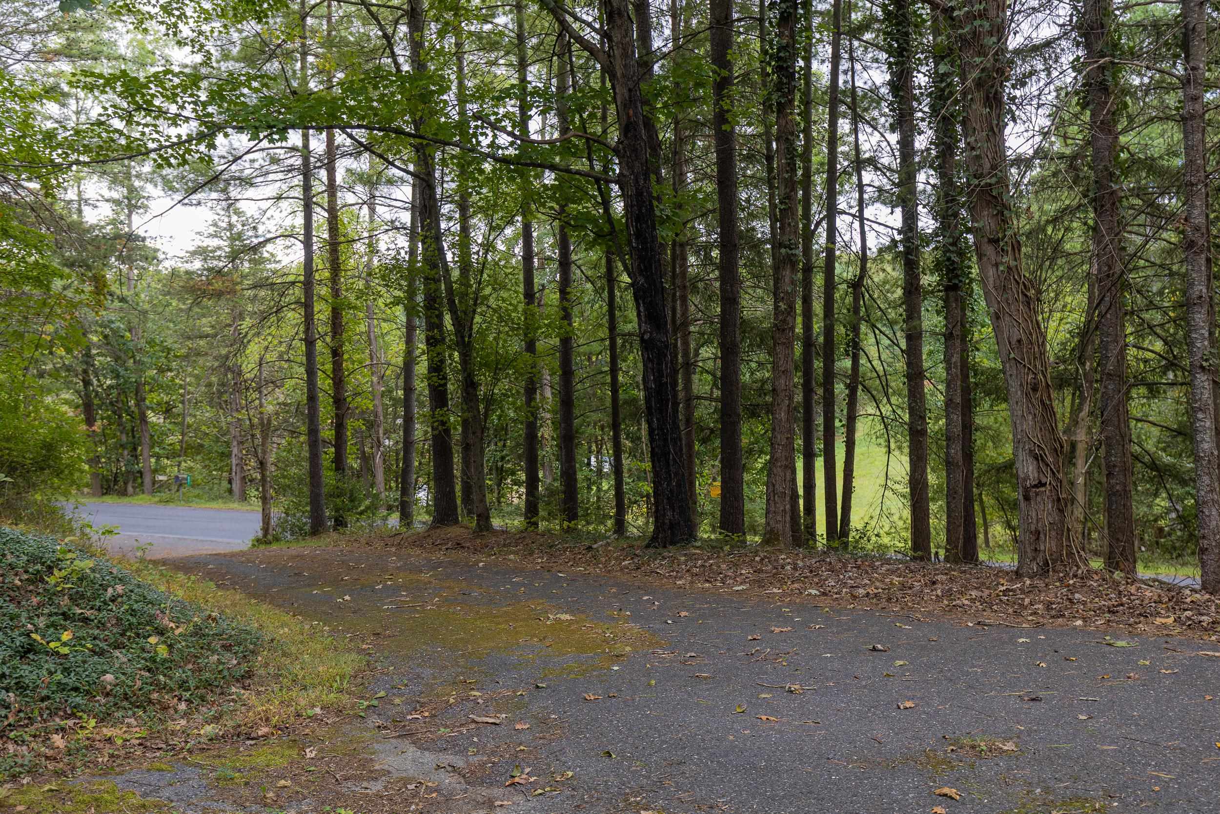 801 UNION CHURCH RD, CHURCHVILLE, Virginia 24421, 3 Bedrooms Bedrooms, ,1 BathroomBathrooms,Residential,801 UNION CHURCH RD,682598 MLS # 682598 801 UNION CHURCH RD, CHURCHVILLE, Virginia 24421, 3 Bedrooms Bedrooms, ,1 BathroomBathrooms,Residential,801 UNION CHURCH RD,682598 MLS # 682598
