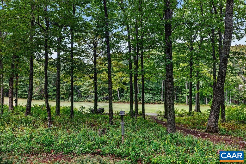 27 VEERY LN, WINTERGREEN RESORT, Virginia 22967, 4 Bedrooms Bedrooms, ,3 BathroomsBathrooms,Residential,27 VEERY LN,682600 MLS # 682600