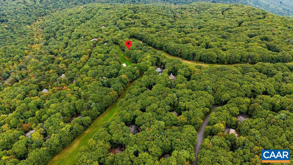 27 VEERY LN, WINTERGREEN RESORT, Virginia 22967, 4 Bedrooms Bedrooms, ,3 BathroomsBathrooms,Residential,27 VEERY LN,682600 MLS # 682600