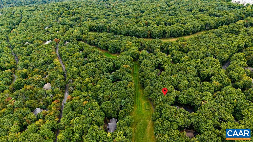 27 VEERY LN, WINTERGREEN RESORT, Virginia 22967, 4 Bedrooms Bedrooms, ,3 BathroomsBathrooms,Residential,27 VEERY LN,682600 MLS # 682600