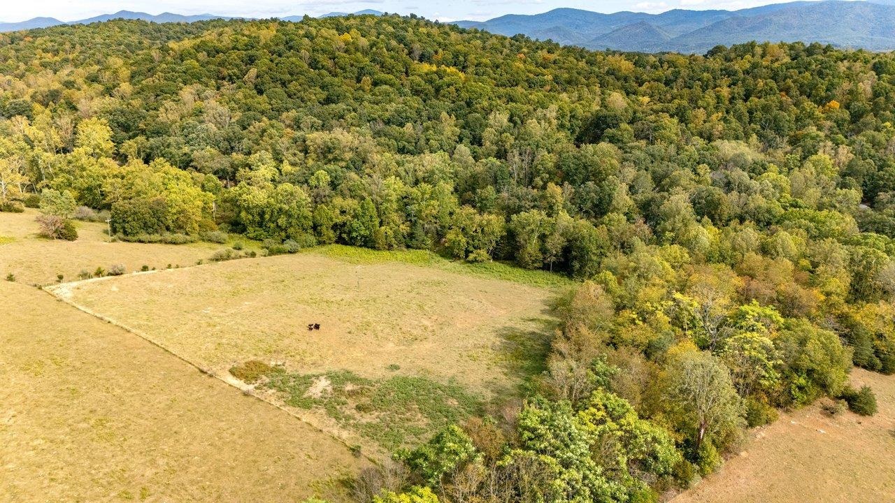 TBD BUNKER HILL MILL RD, LEXINGTON, Virginia 24450, ,Land,TBD BUNKER HILL MILL RD,682621 MLS # 682621