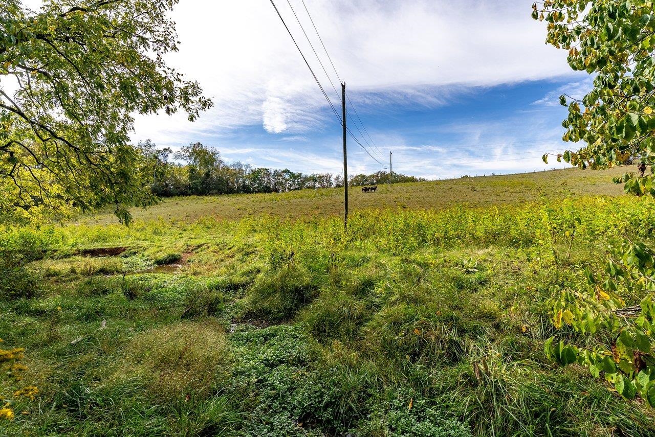 TBD BUNKER HILL MILL RD, LEXINGTON, Virginia 24450, ,Land,TBD BUNKER HILL MILL RD,682621 MLS # 682621