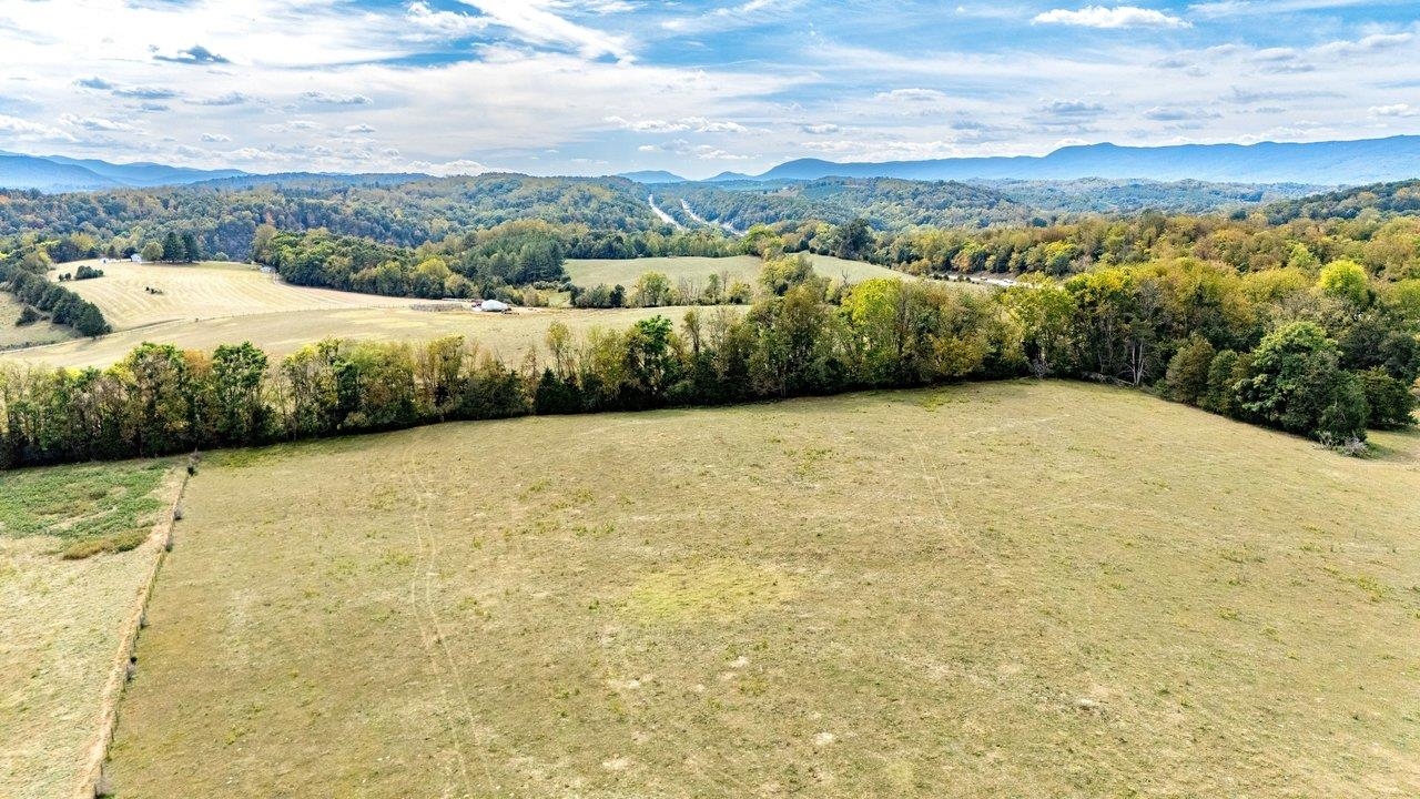 TBD BUNKER HILL MILL RD, LEXINGTON, Virginia 24450, ,Land,TBD BUNKER HILL MILL RD,682621 MLS # 682621