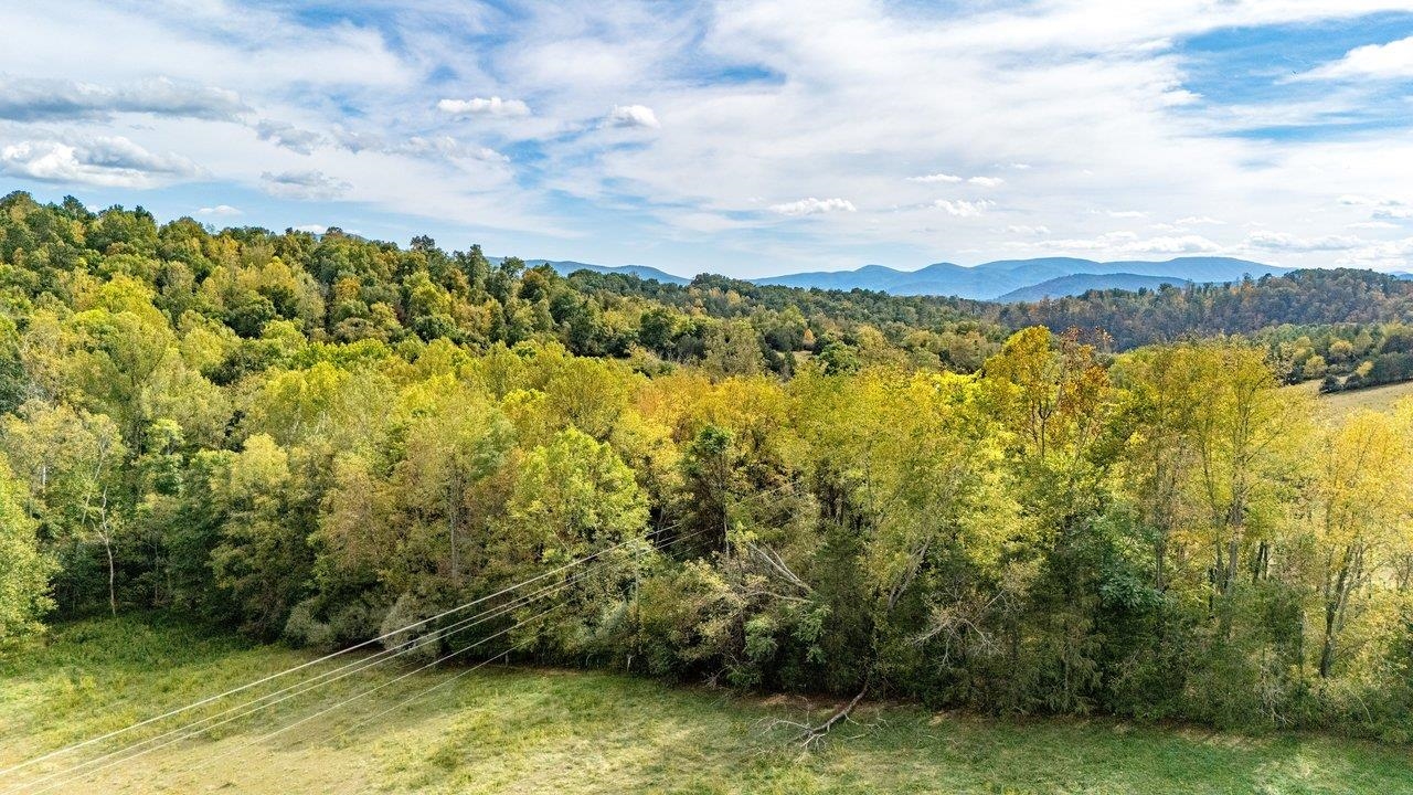 TBD BUNKER HILL MILL RD, LEXINGTON, Virginia 24450, ,Land,TBD BUNKER HILL MILL RD,682621 MLS # 682621