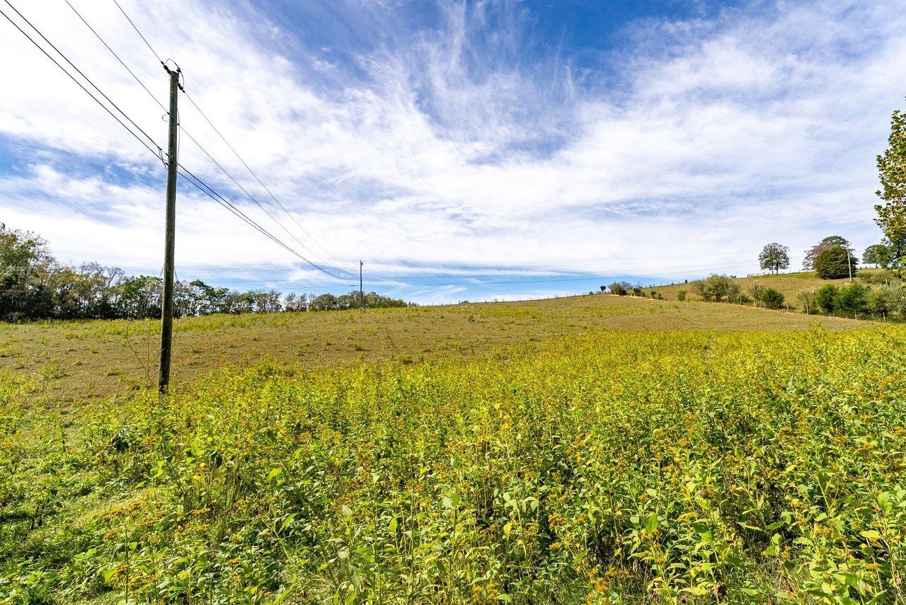 TBD BUNKER HILL MILL RD, LEXINGTON, Virginia 24450, ,Land,TBD BUNKER HILL MILL RD,682621 MLS # 682621