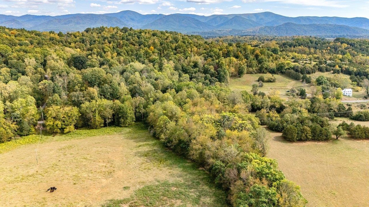 TBD BUNKER HILL MILL RD, LEXINGTON, Virginia 24450, ,Land,TBD BUNKER HILL MILL RD,682621 MLS # 682621