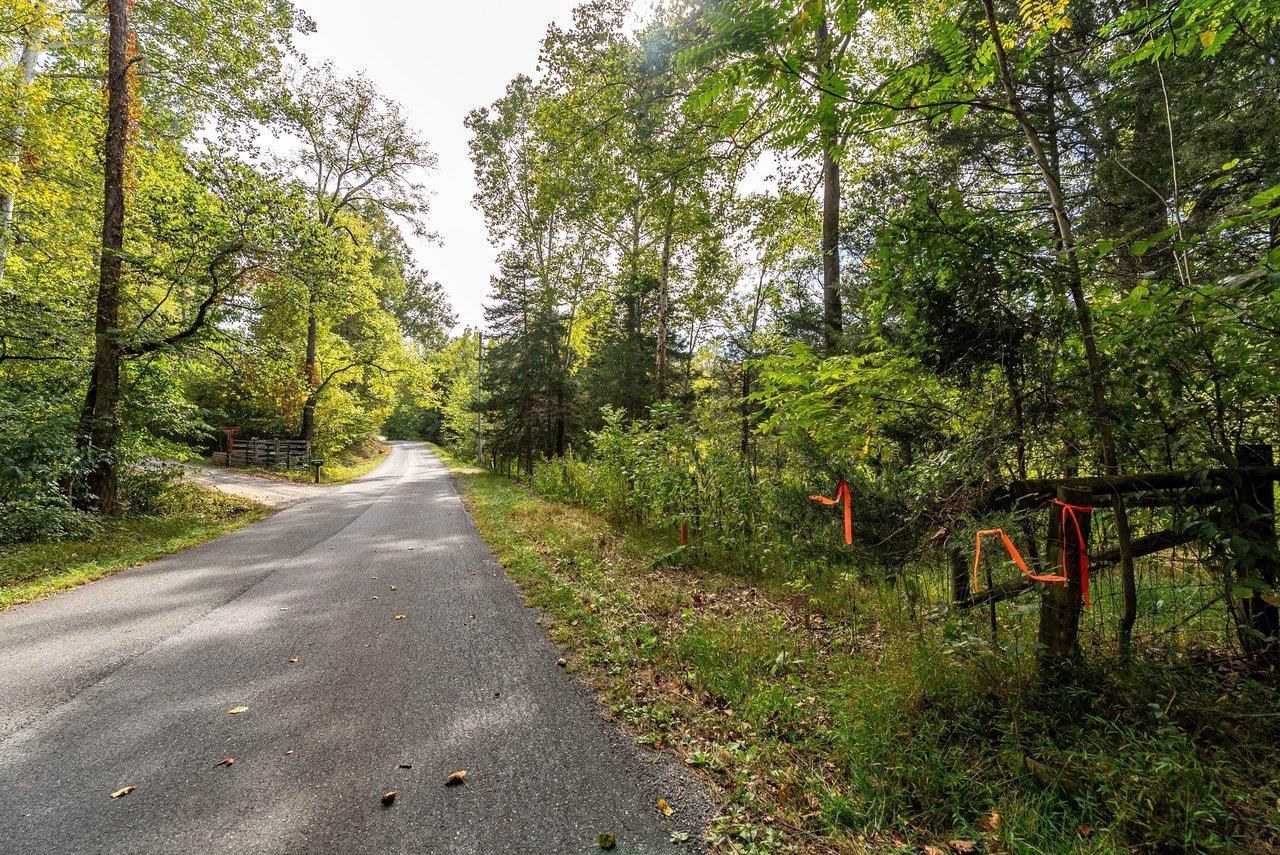 TBD BUNKER HILL MILL RD, LEXINGTON, Virginia 24450, ,Land,TBD BUNKER HILL MILL RD,682621 MLS # 682621