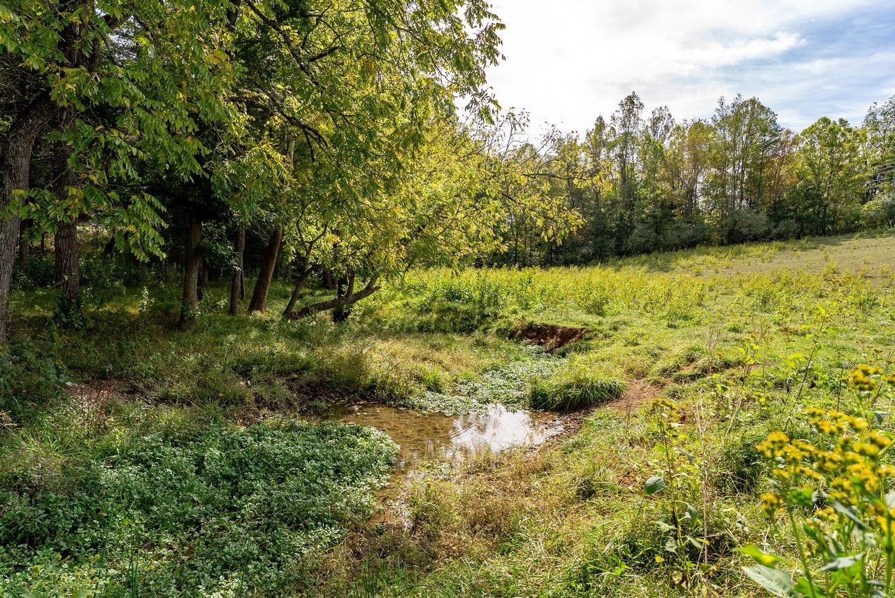 TBD BUNKER HILL MILL RD, LEXINGTON, Virginia 24450, ,Land,TBD BUNKER HILL MILL RD,682621 MLS # 682621