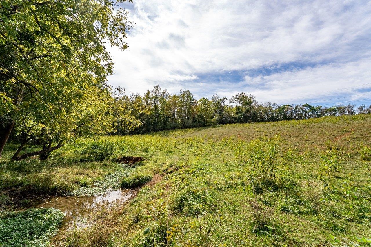 TBD BUNKER HILL MILL RD, LEXINGTON, Virginia 24450, ,Land,TBD BUNKER HILL MILL RD,682621 MLS # 682621
