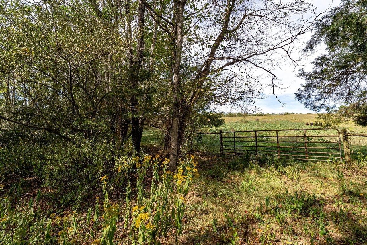TBD BUNKER HILL MILL RD, LEXINGTON, Virginia 24450, ,Land,TBD BUNKER HILL MILL RD,682621 MLS # 682621