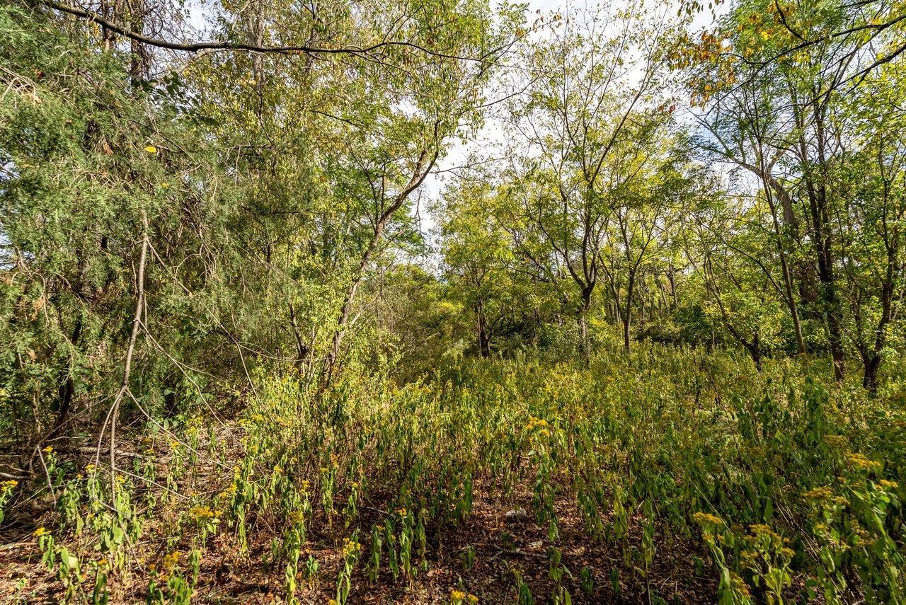 TBD BUNKER HILL MILL RD, LEXINGTON, Virginia 24450, ,Land,TBD BUNKER HILL MILL RD,682621 MLS # 682621